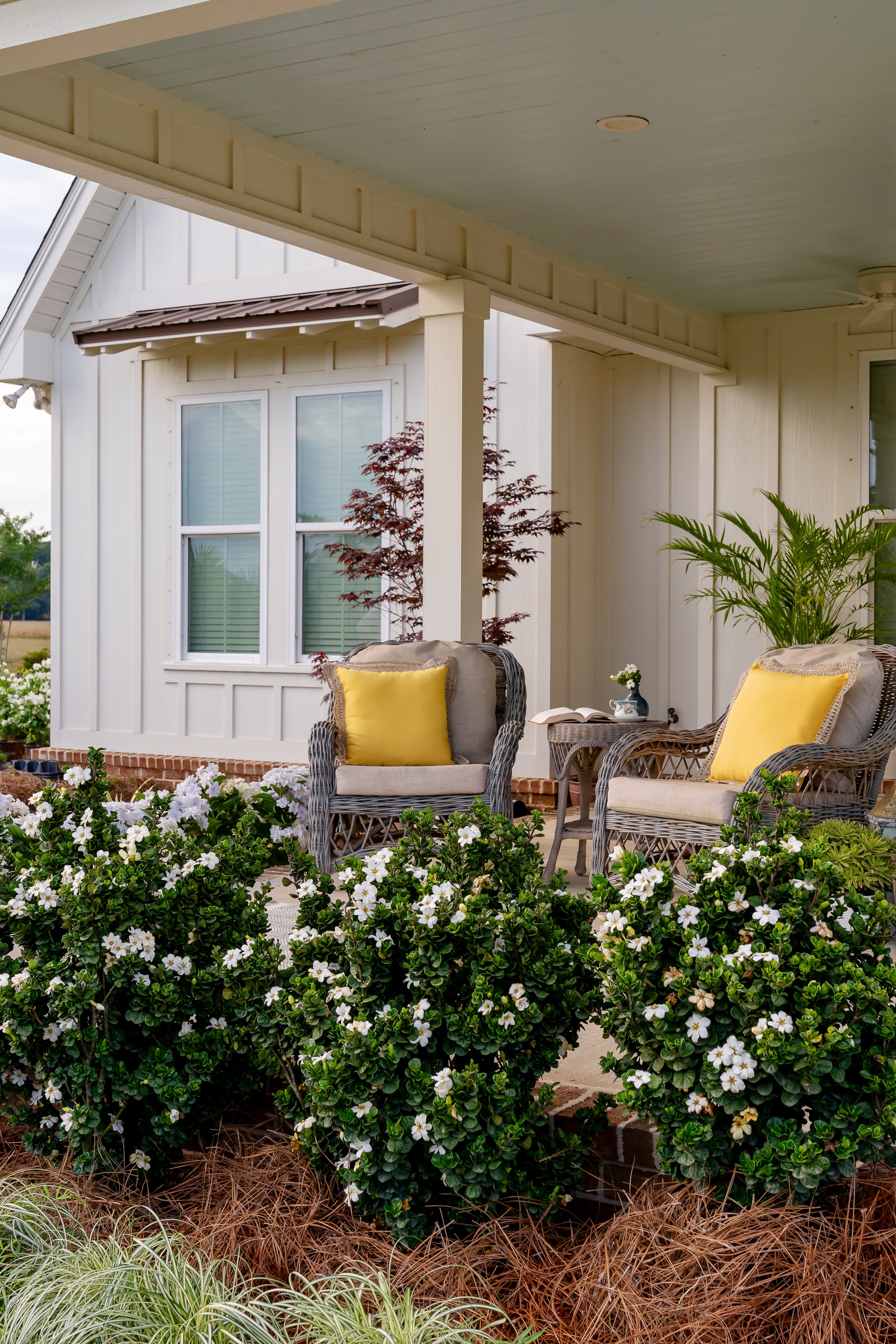 Southern Living Plant Collection 86552-1 shrubs - View #10
