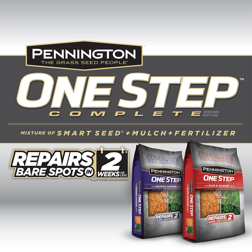 Pennington One Step Complete Dense Shade 8.3-lb Fescue Lawn Repair Mix ...