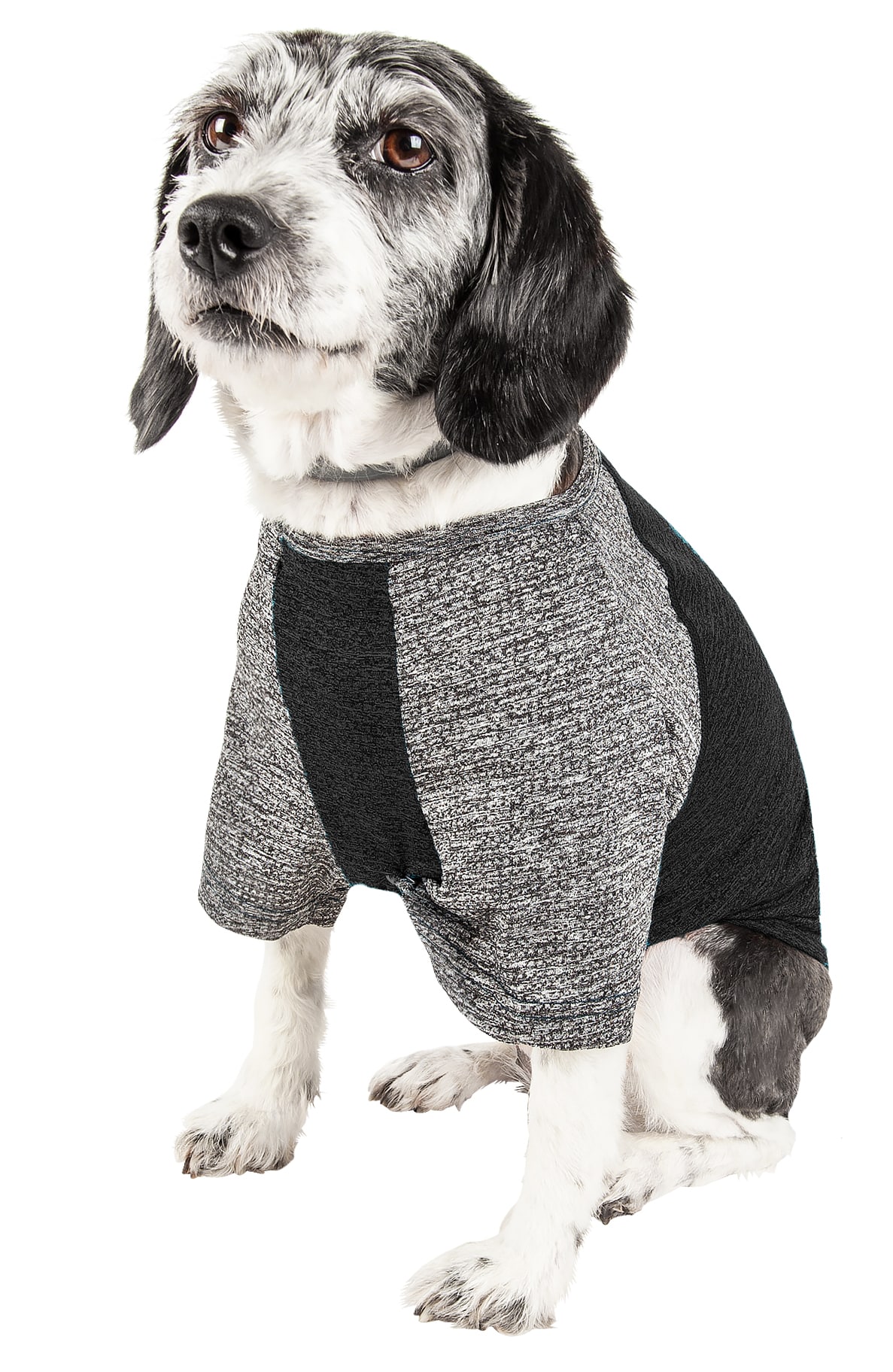 Lowes Xmas Navy Dog Rayon Shirt - Lowes Menswear