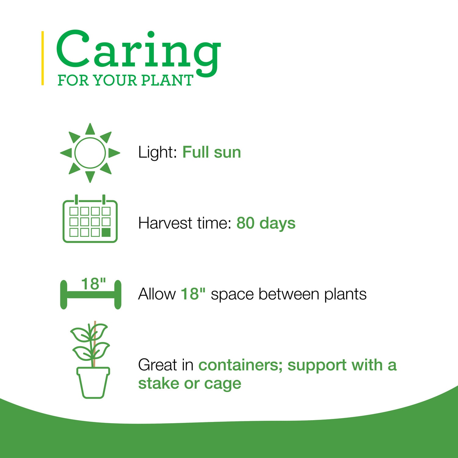 Bonnie Plants 202036 Vegetable-Plants - View #5