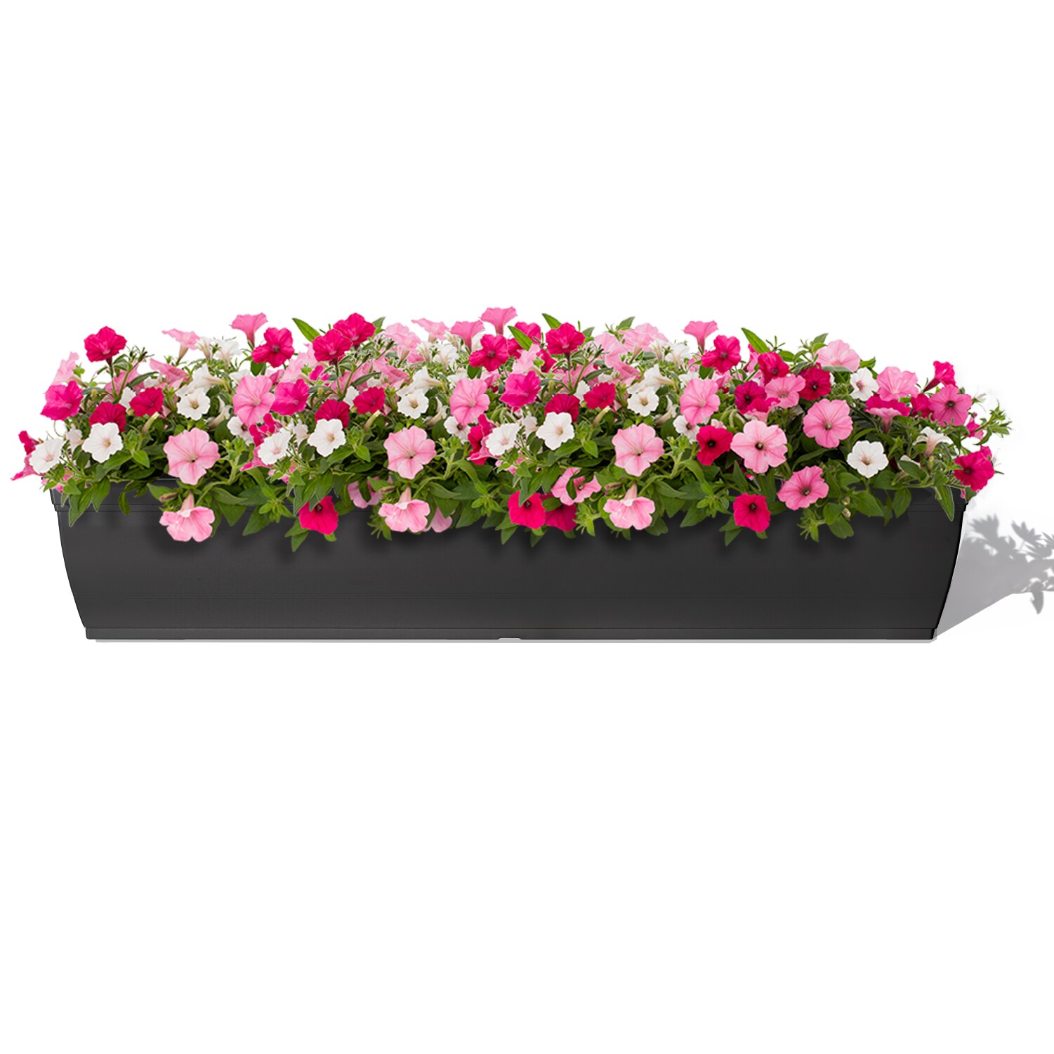 Style Selections Rectangle 35.51-in W x 6.02-in H x Black Recycled plastic Indoor/Outdoor Window box