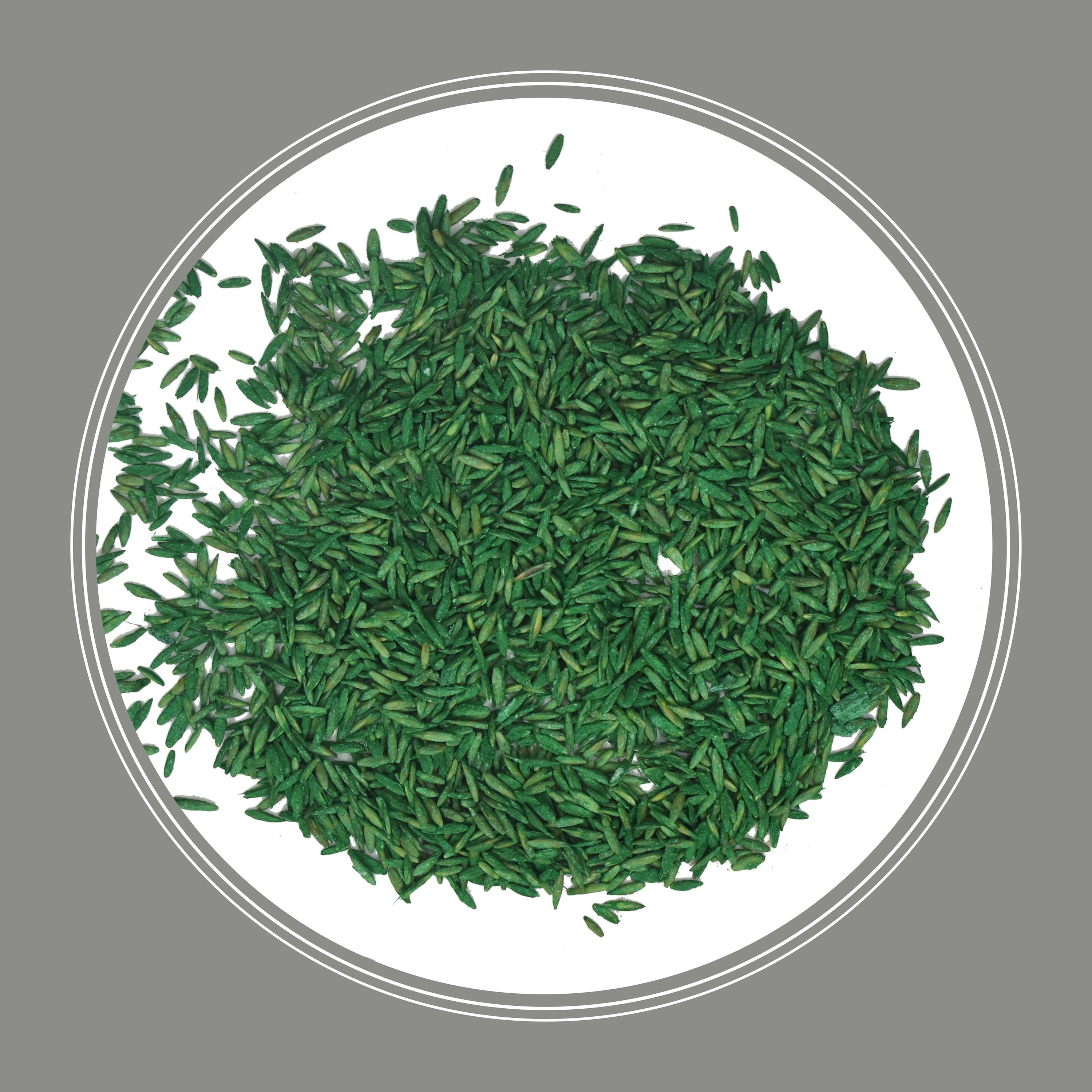 Pennington 100551774 Grass-Seed - View #4