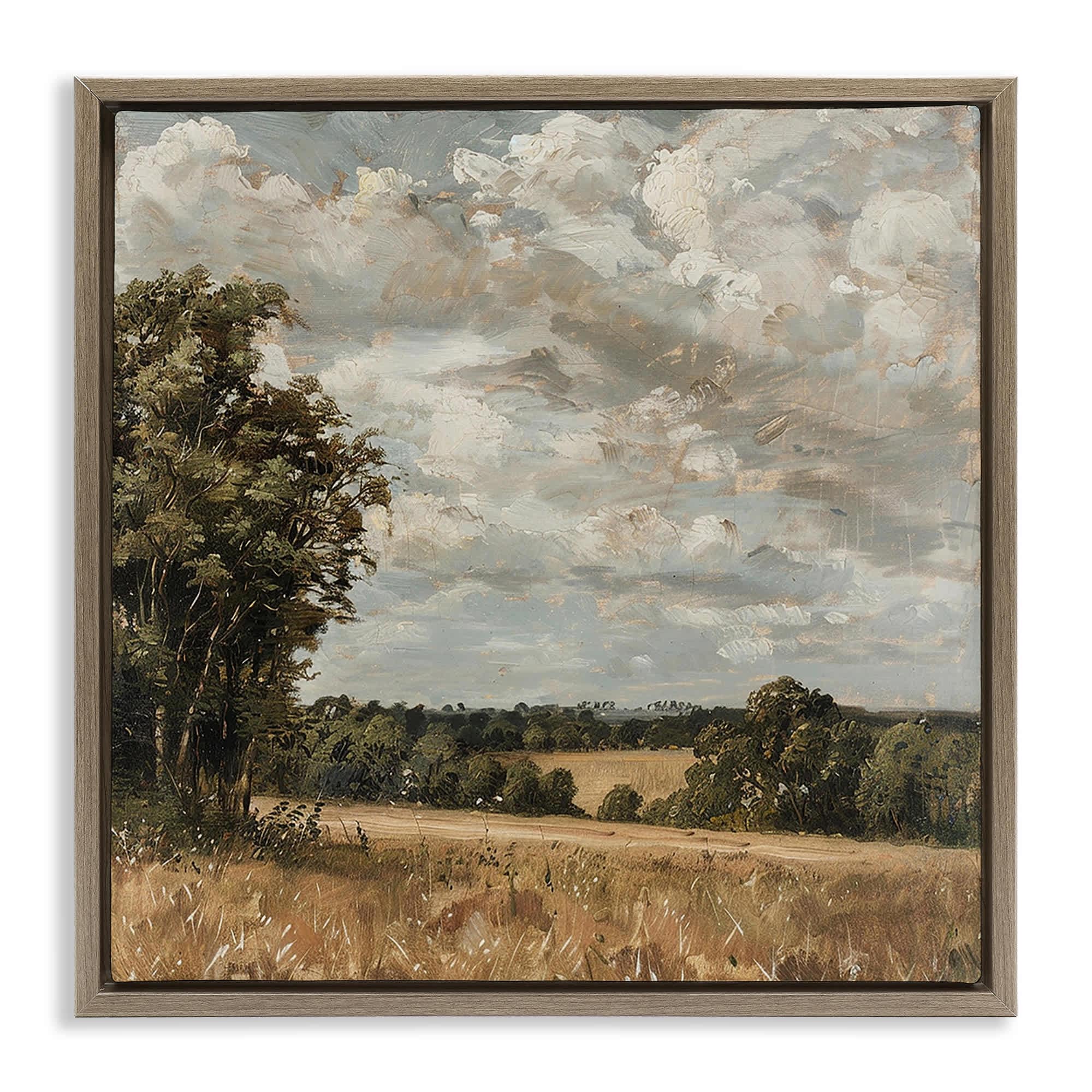 Stupell Industries BT-785-FFE-24X24 Clouds Over Country Scenery Floating Frame design by LSR Creative Studio