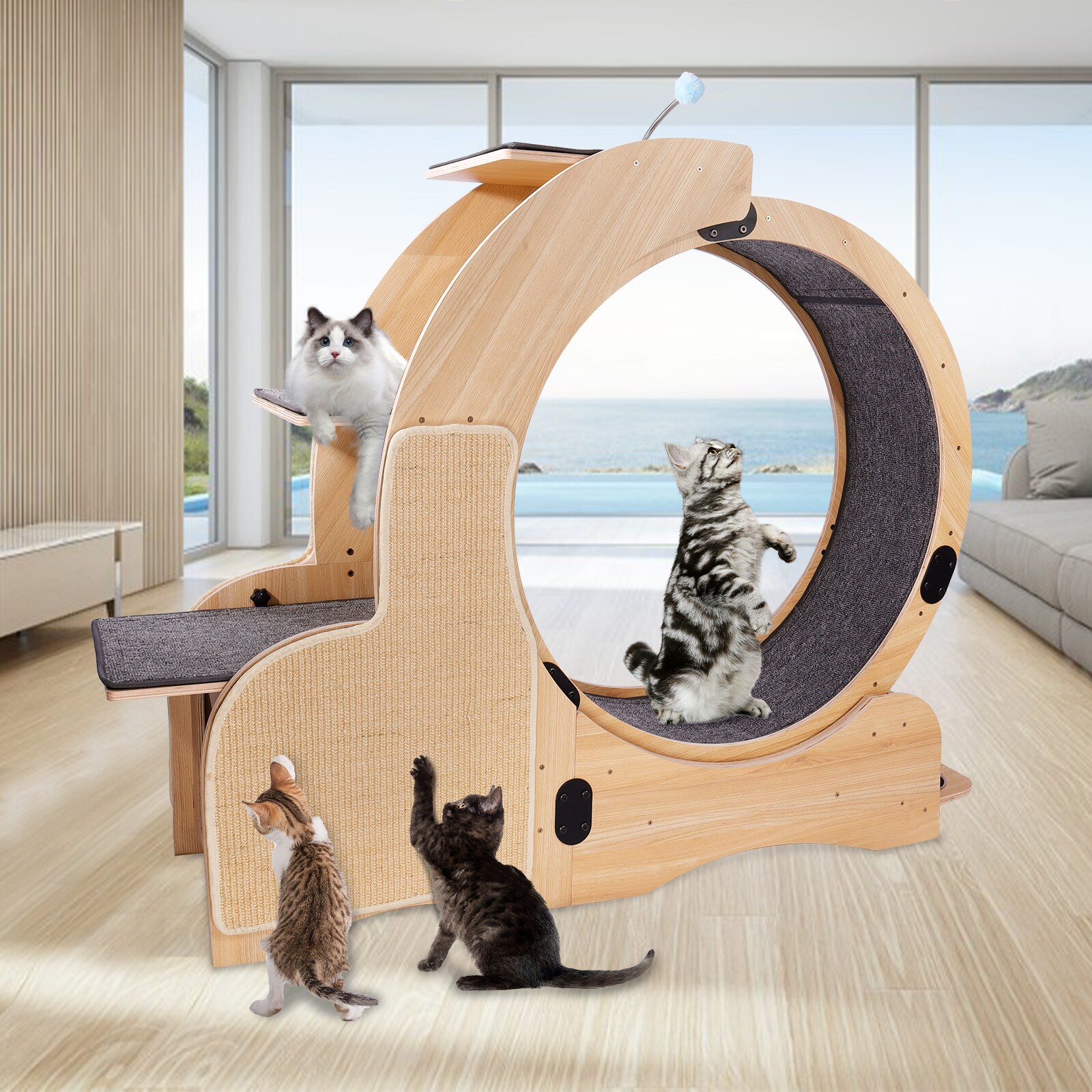 Kahomvis CHUY-QPW1-745 Cat Exercise Wheel Wood Interactive Cat Toy