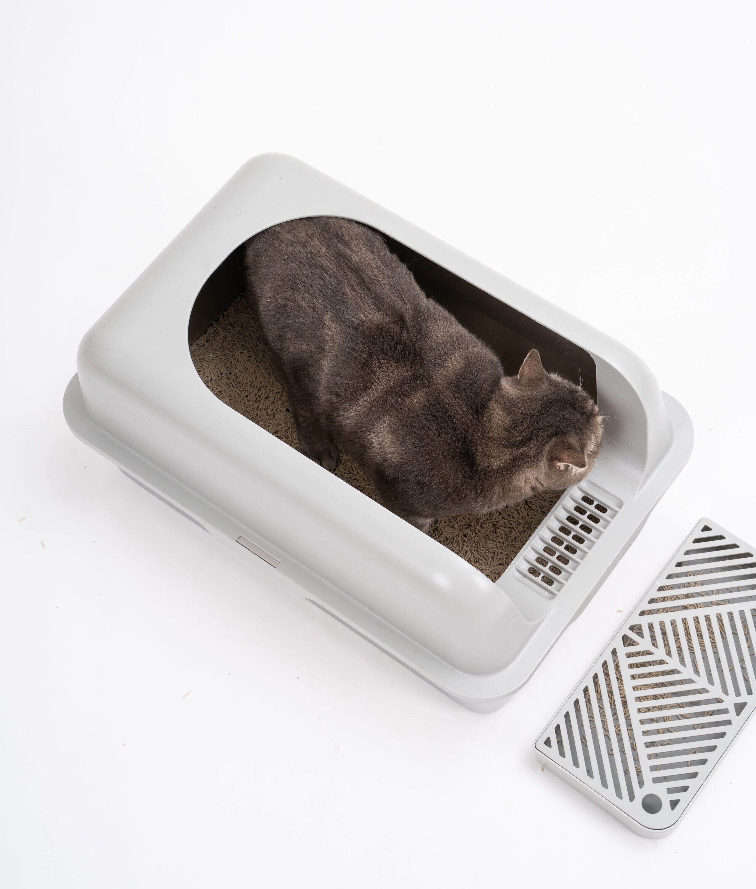 LOVMOR SF-R-W2641P205076 Cat-Litter - View #3