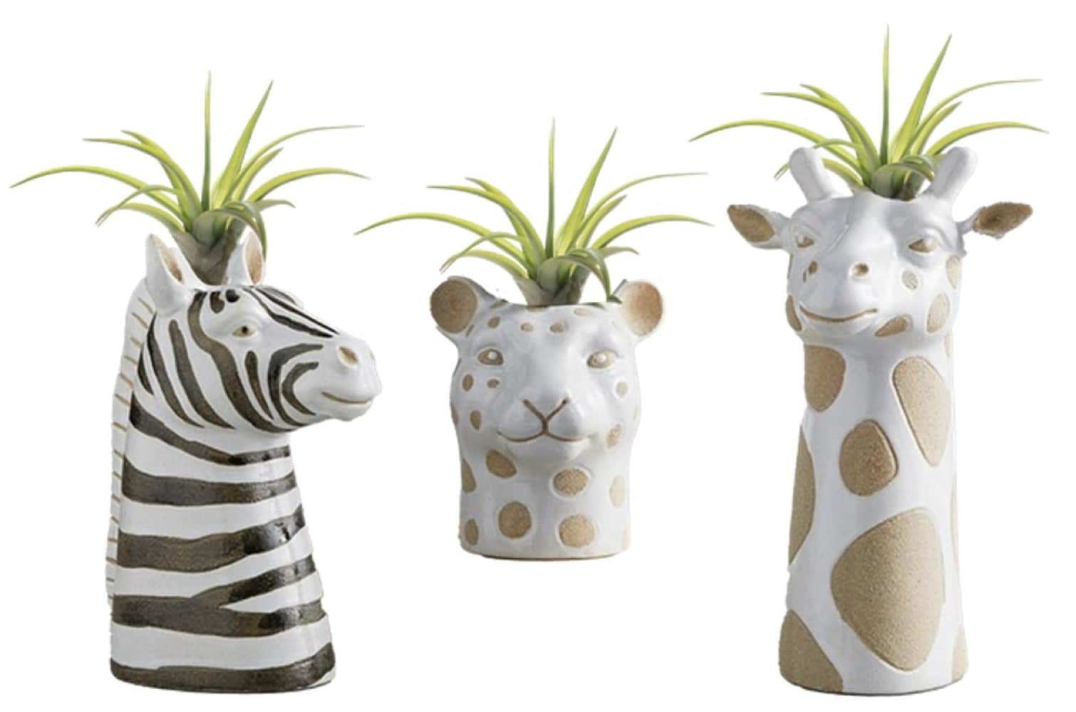 LiveTrends ASB07698 The Animal Collective House plant in 1 -Pack Pot 1 -Pack