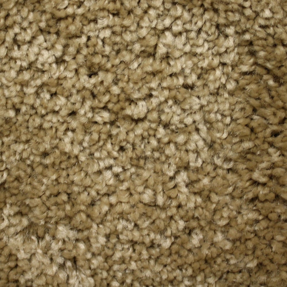 STAINMASTER FB029-306-1200-AB Marl Canyon Tan Brown 29.0-oz sq yard Polyester Textured Indoor Carpet