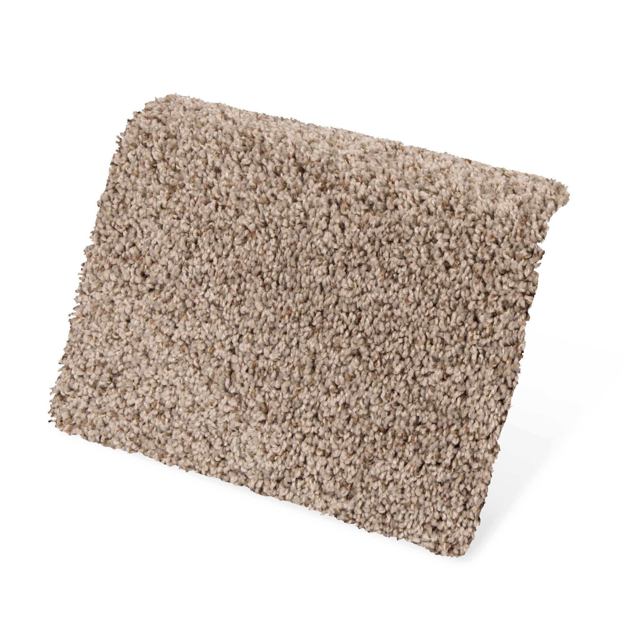 Style Selections SS018-L003-0808 Carpet-Samples - View #5