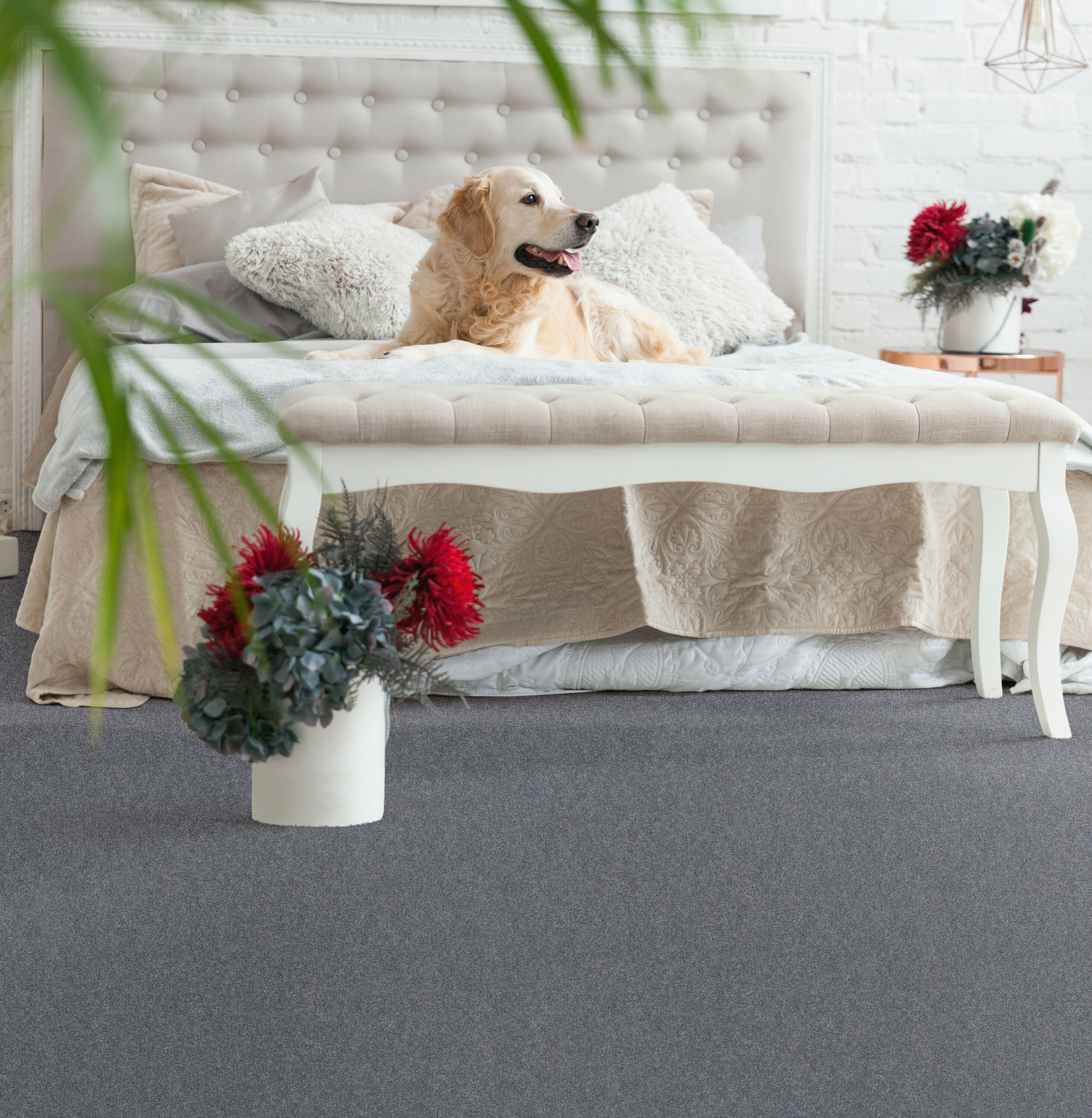 STAINMASTER PetProtect 7L90600437 Carpet-Panel - View #4