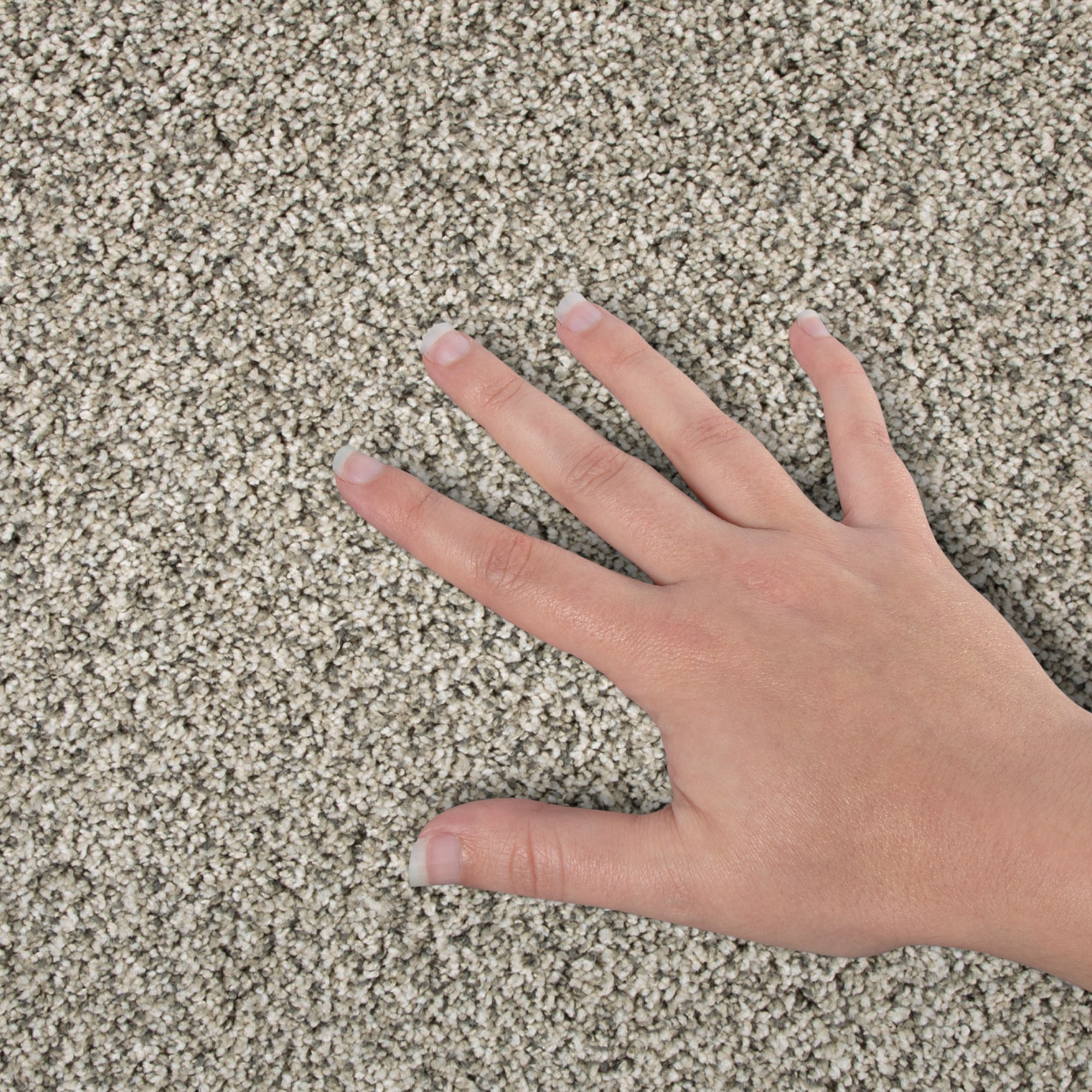 STAINMASTER SS046-12-L011 Carpet-Panel - View #4