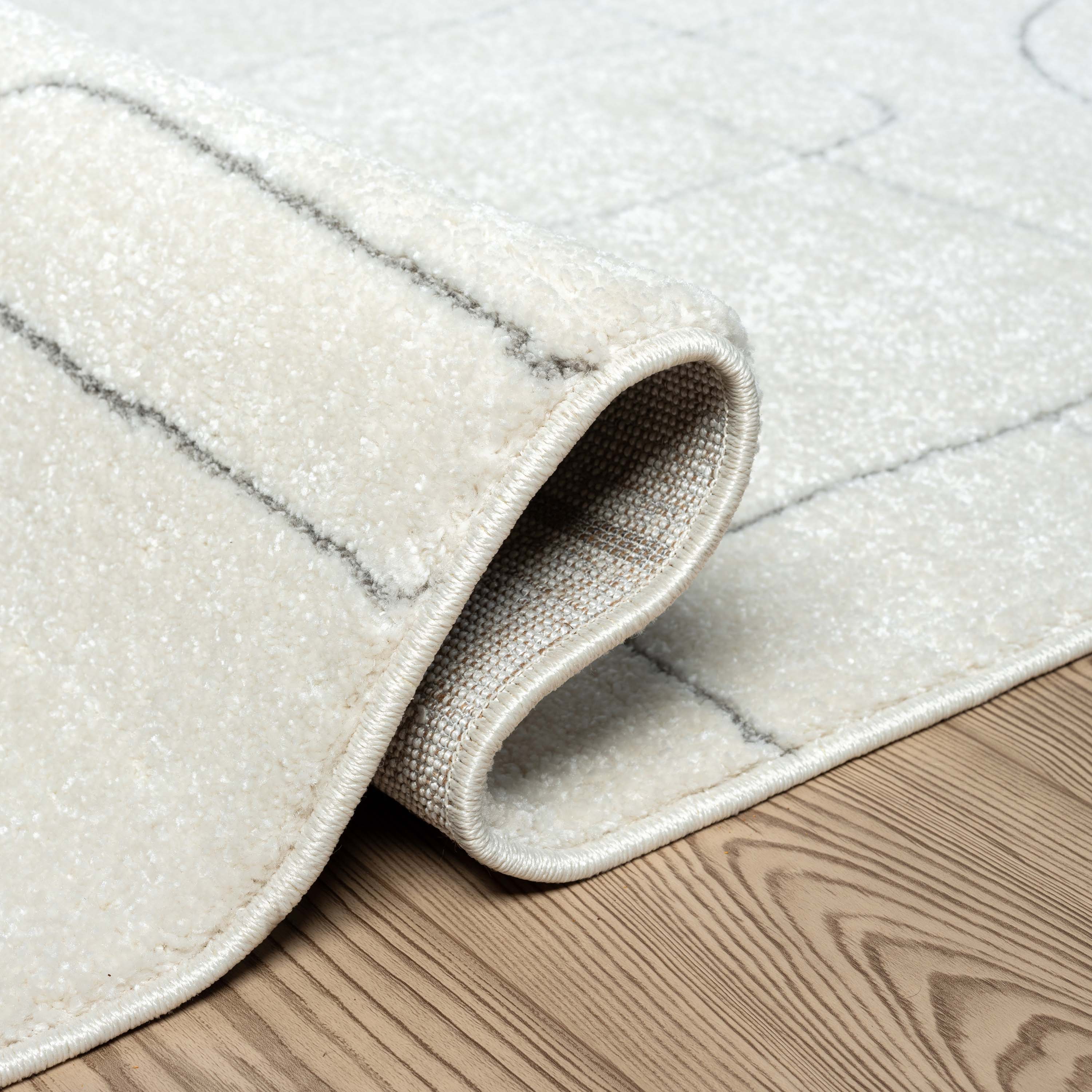 Abani Rugs COZ120A-4 rugs - View #6