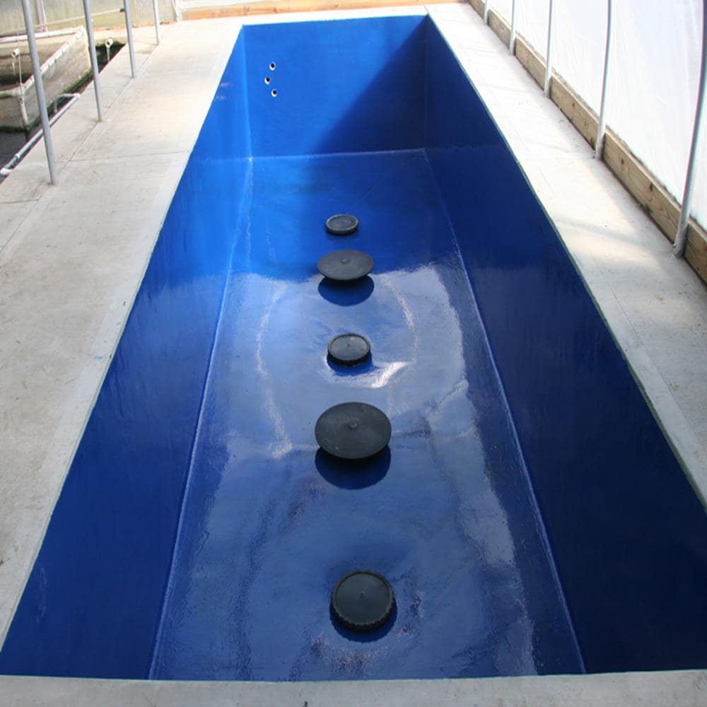 Competition Blue Gloss Non-Toxic Epoxy Pond Liner