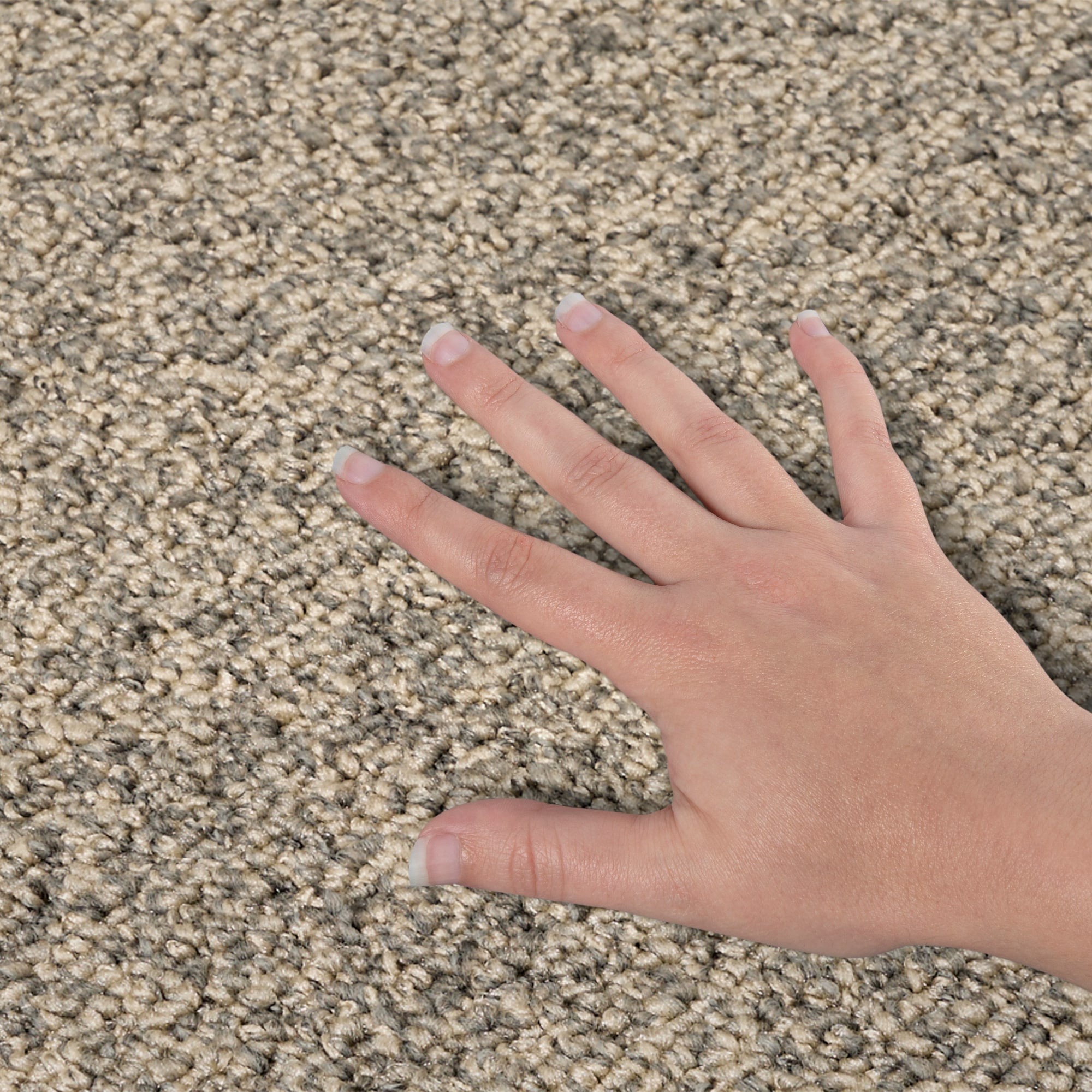  SS027-12-L004 Carpet-Panel - View #4