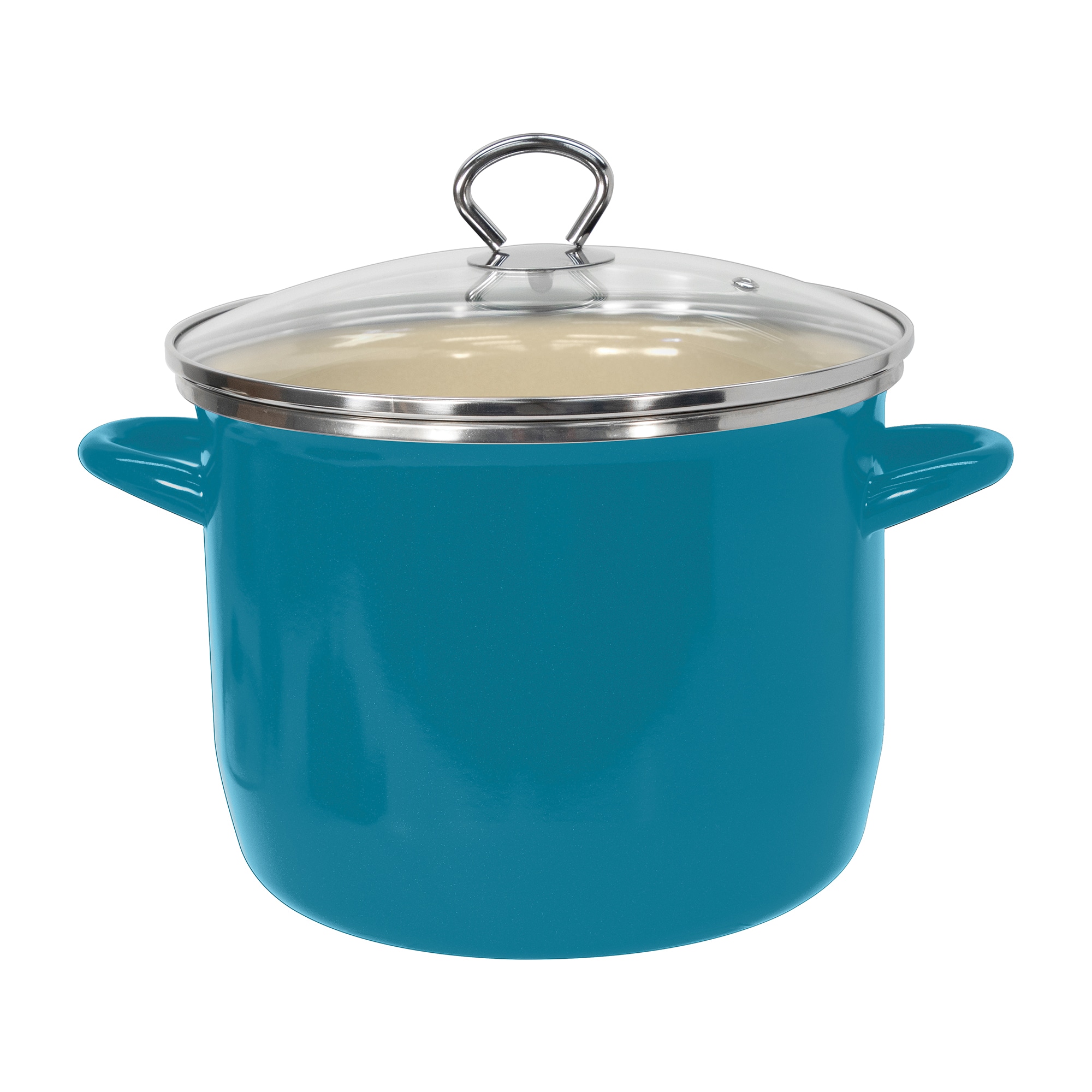 Vasconia EKV4042818 8-Quarts Steel Stock pot