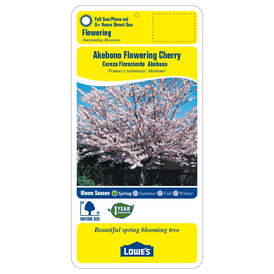 Lowe's 8.8651308391E11 trees - View #2