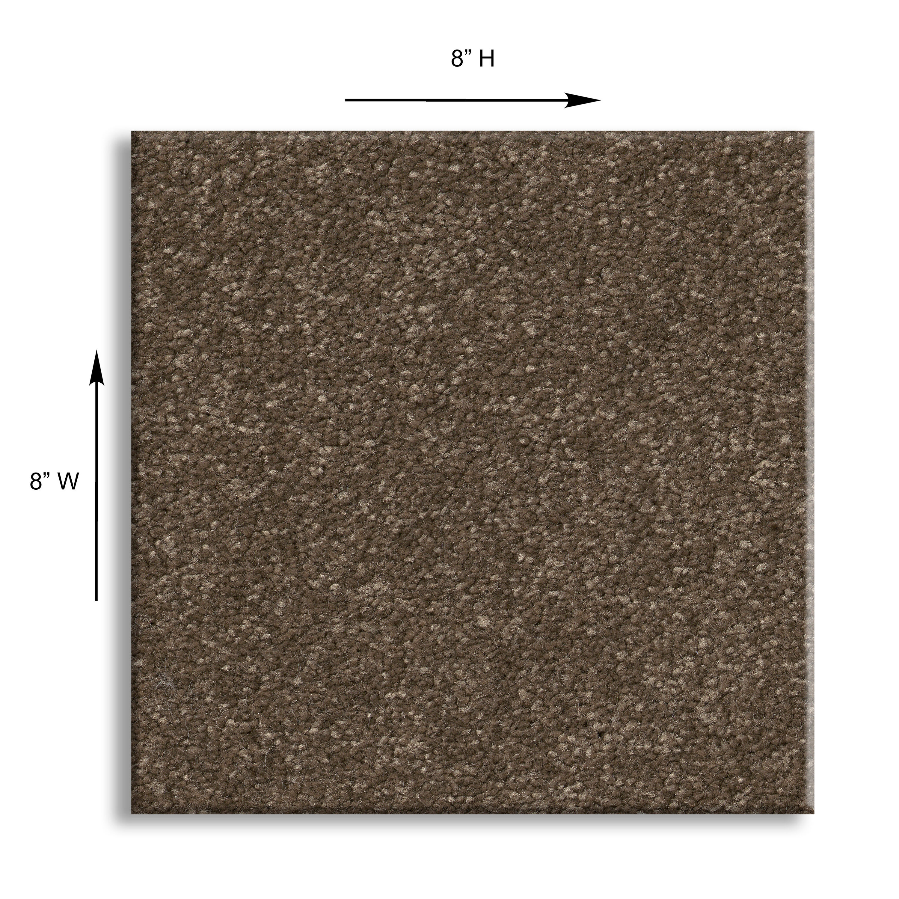 STAINMASTER 7L865 - 705 - SAMP Carpet-Samples - View #4