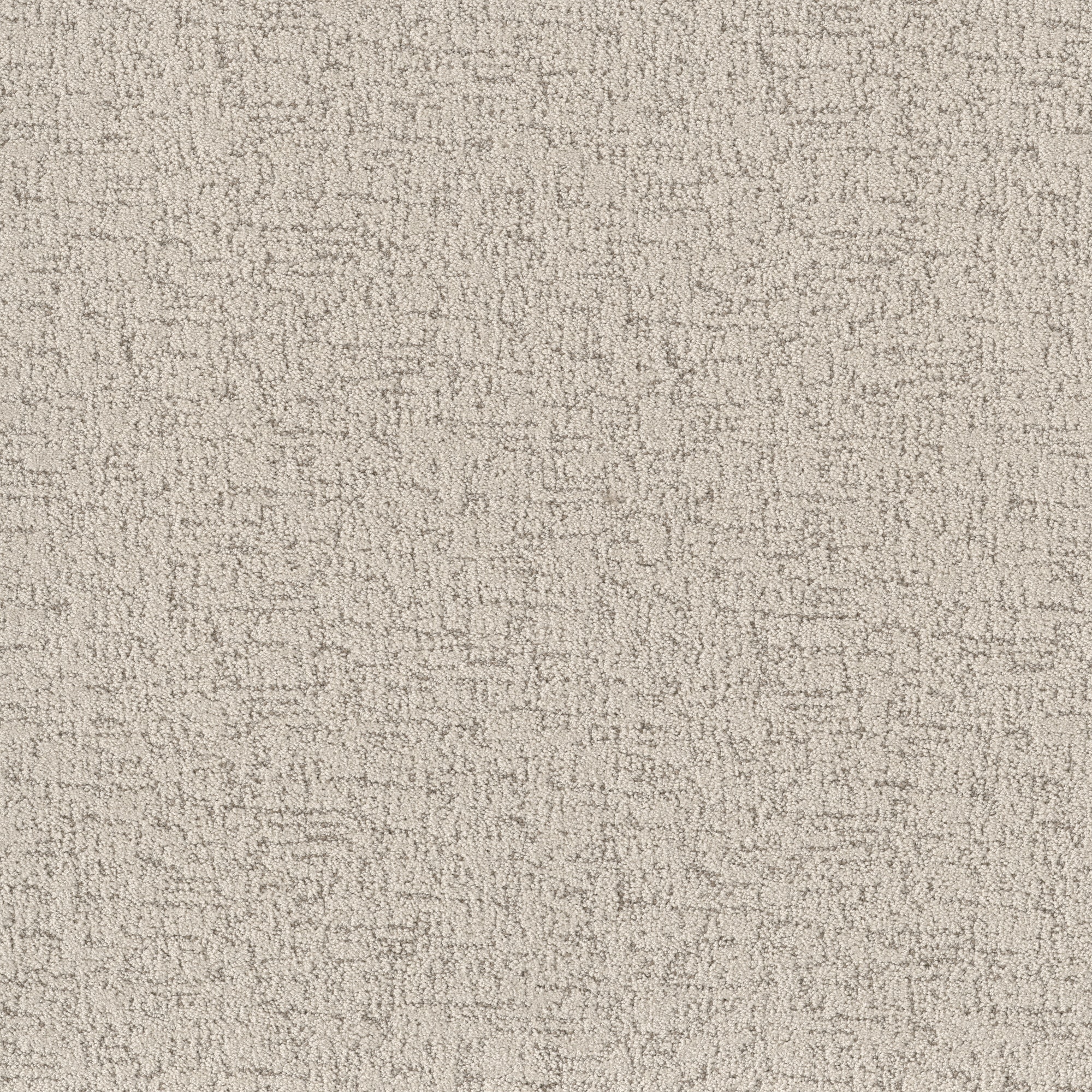 STAINMASTER 7L876 - 101 - SAMP (Sample) Positive Attitude Almond Silk Multi-Colored 43.9-oz sq yard Polyester Textured Indoor Carpet
