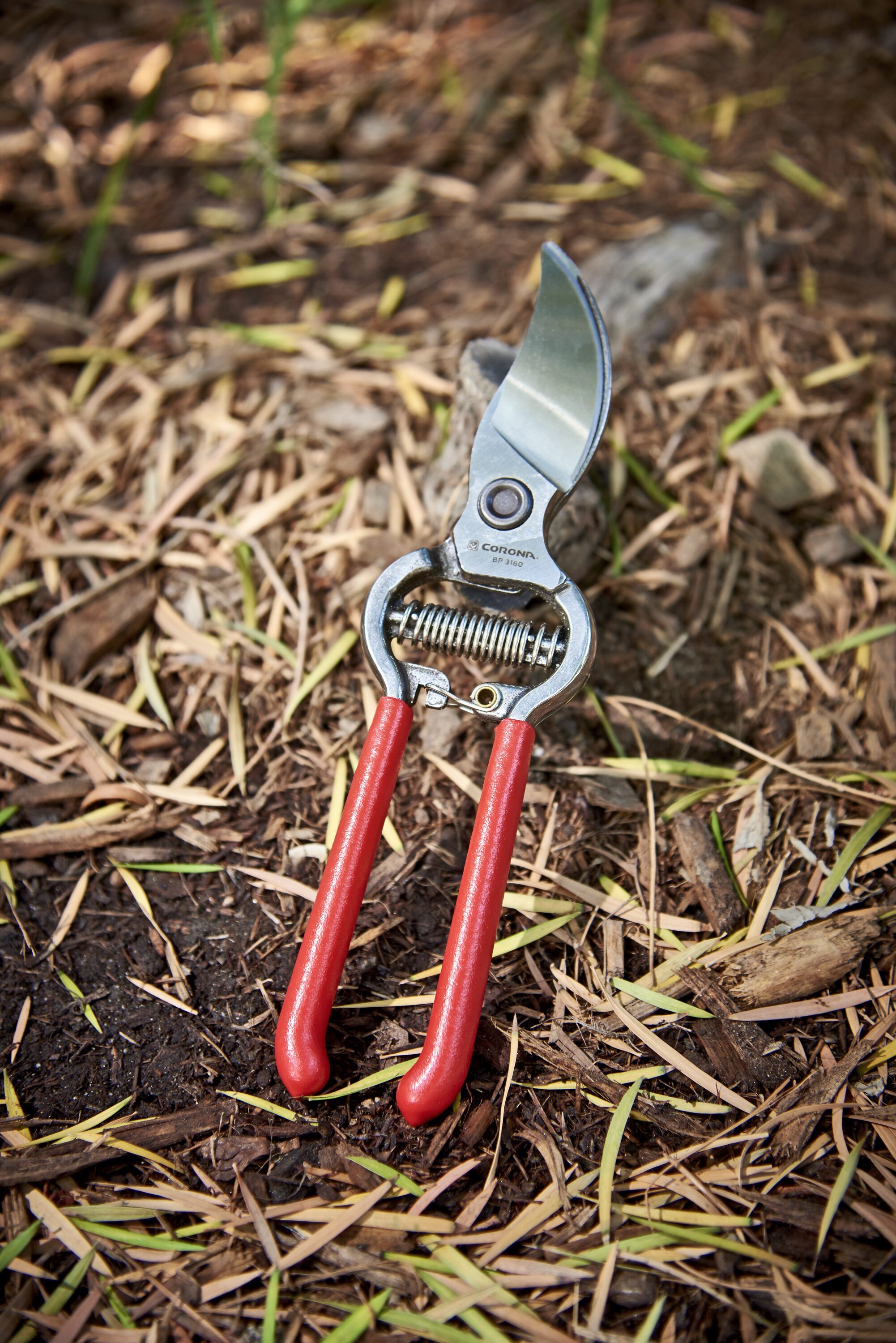 Corona BP 3160 Hand-Pruners - View #10