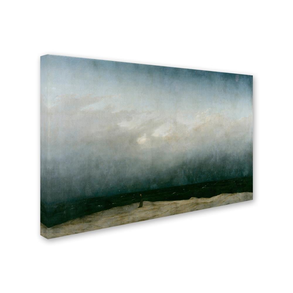 Trademark Fine Art AA00078-C3047GG Wall-Art - View #3