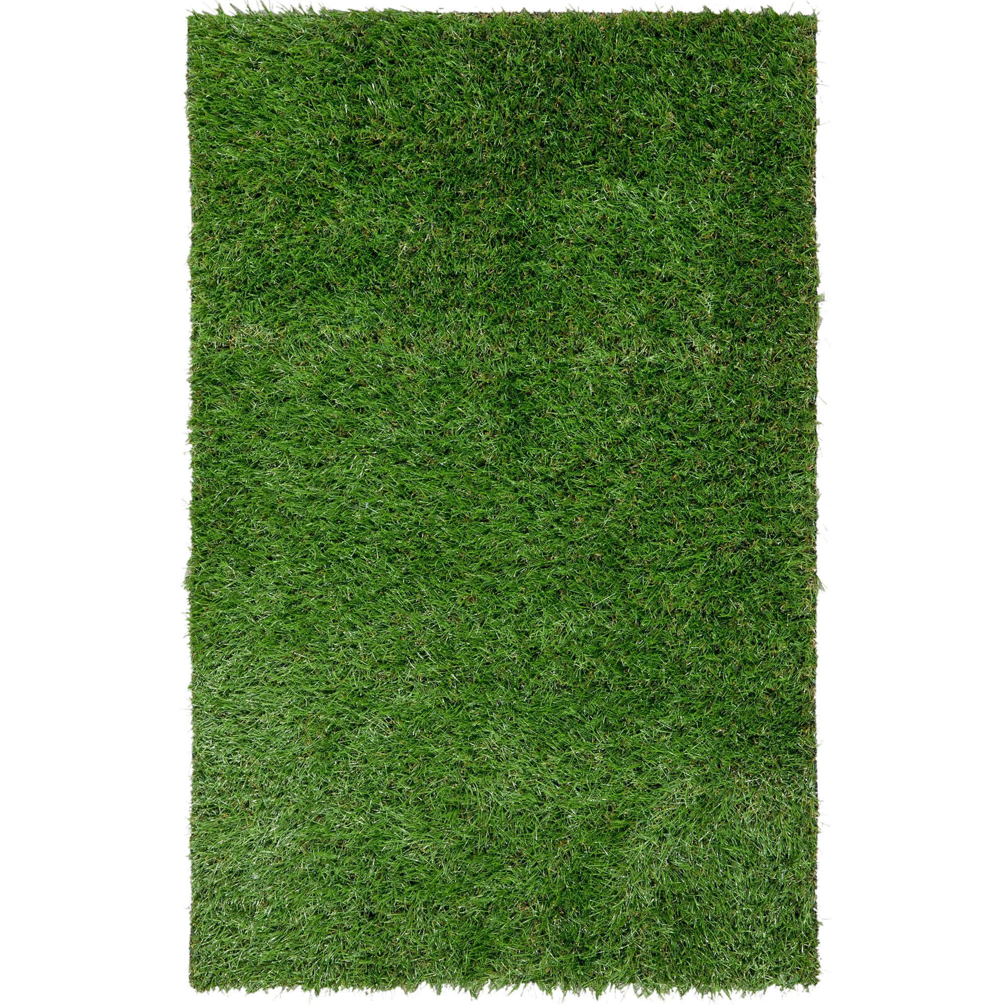 Fake grass online lowes