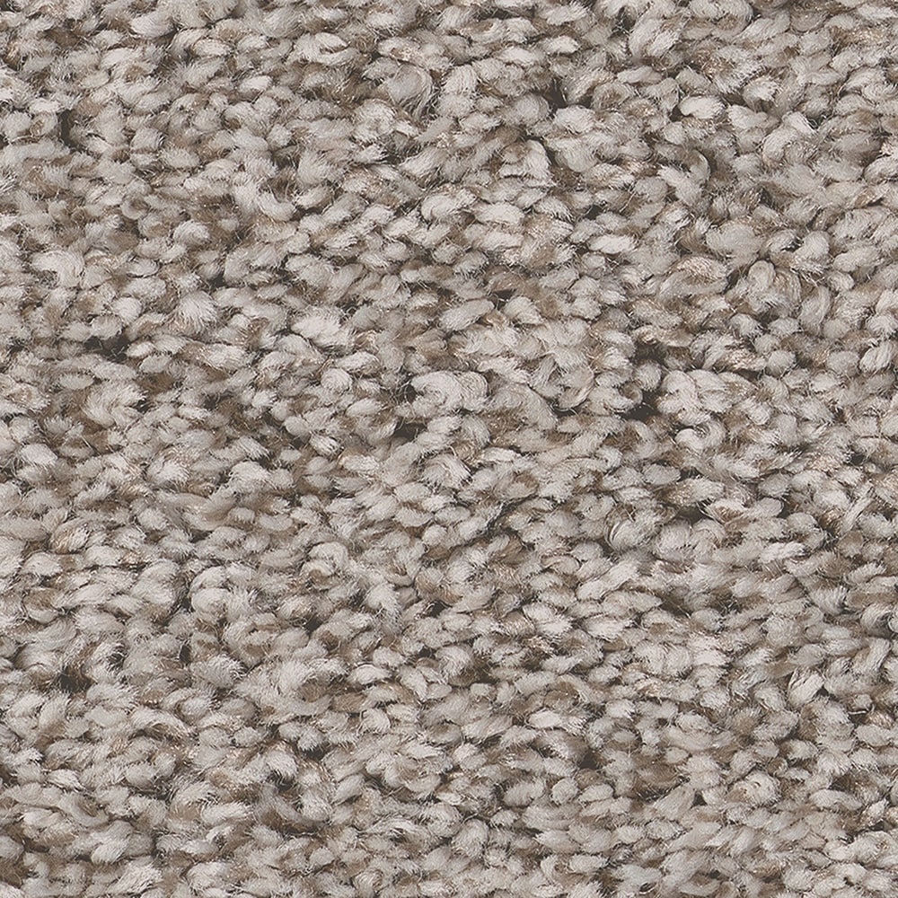 STAINMASTER 7L88600700 Peak Tranquility I River Run Brown 43.9-oz sq yard Polyester Textured Indoor Carpet