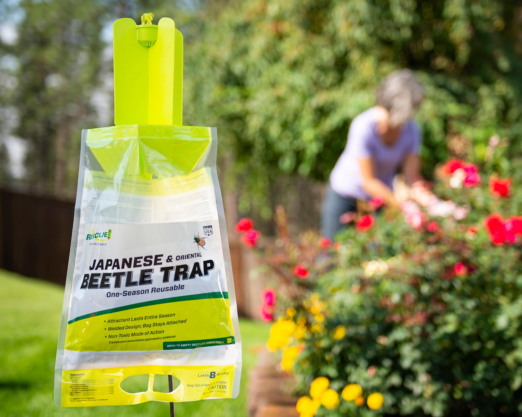 Product Review: Rescue Fly Traps - Susan's in the Garden