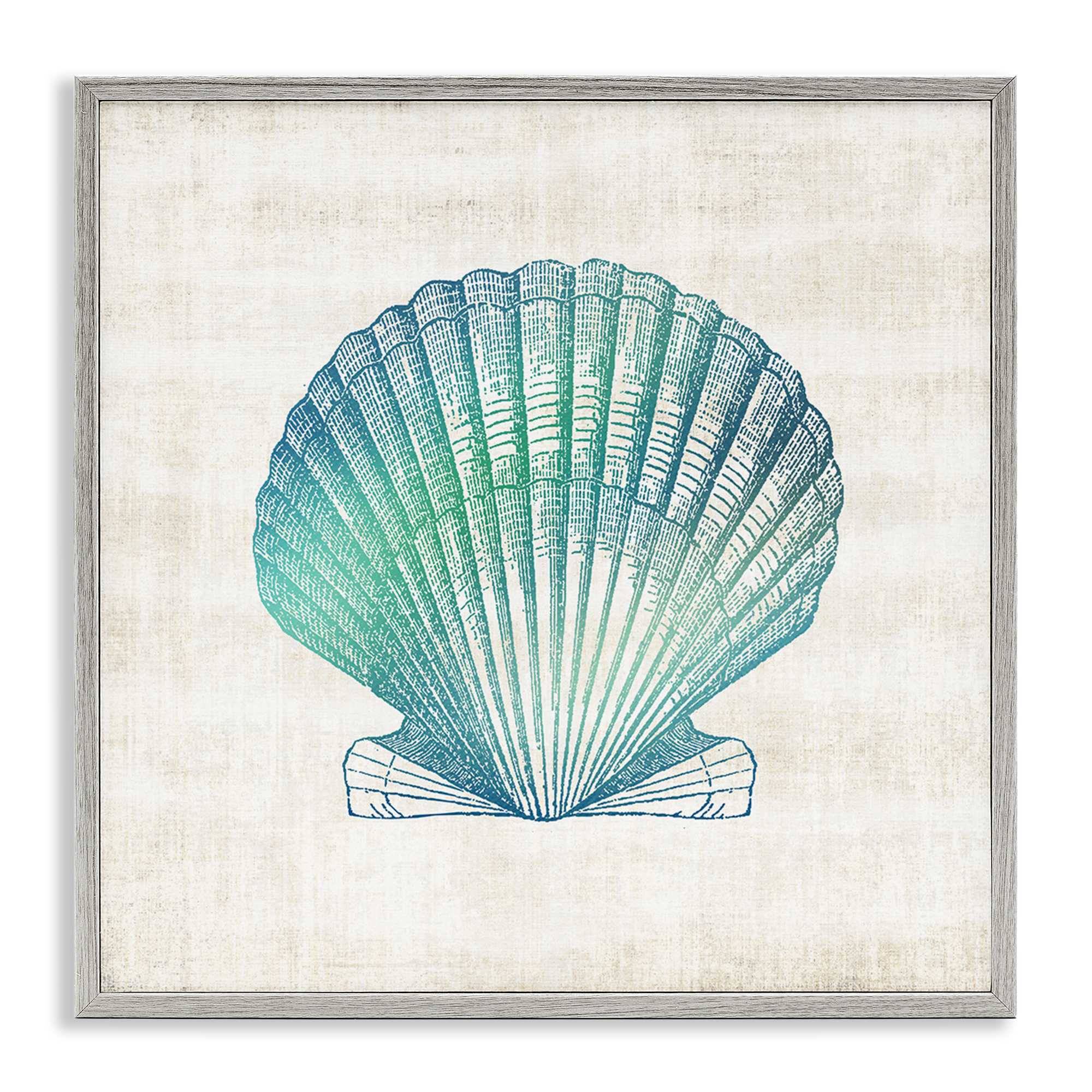 Stupell Industries BS-161-GFF-24X24 Gradient Clam Seashell Framed Giclee design by Susan Arnot