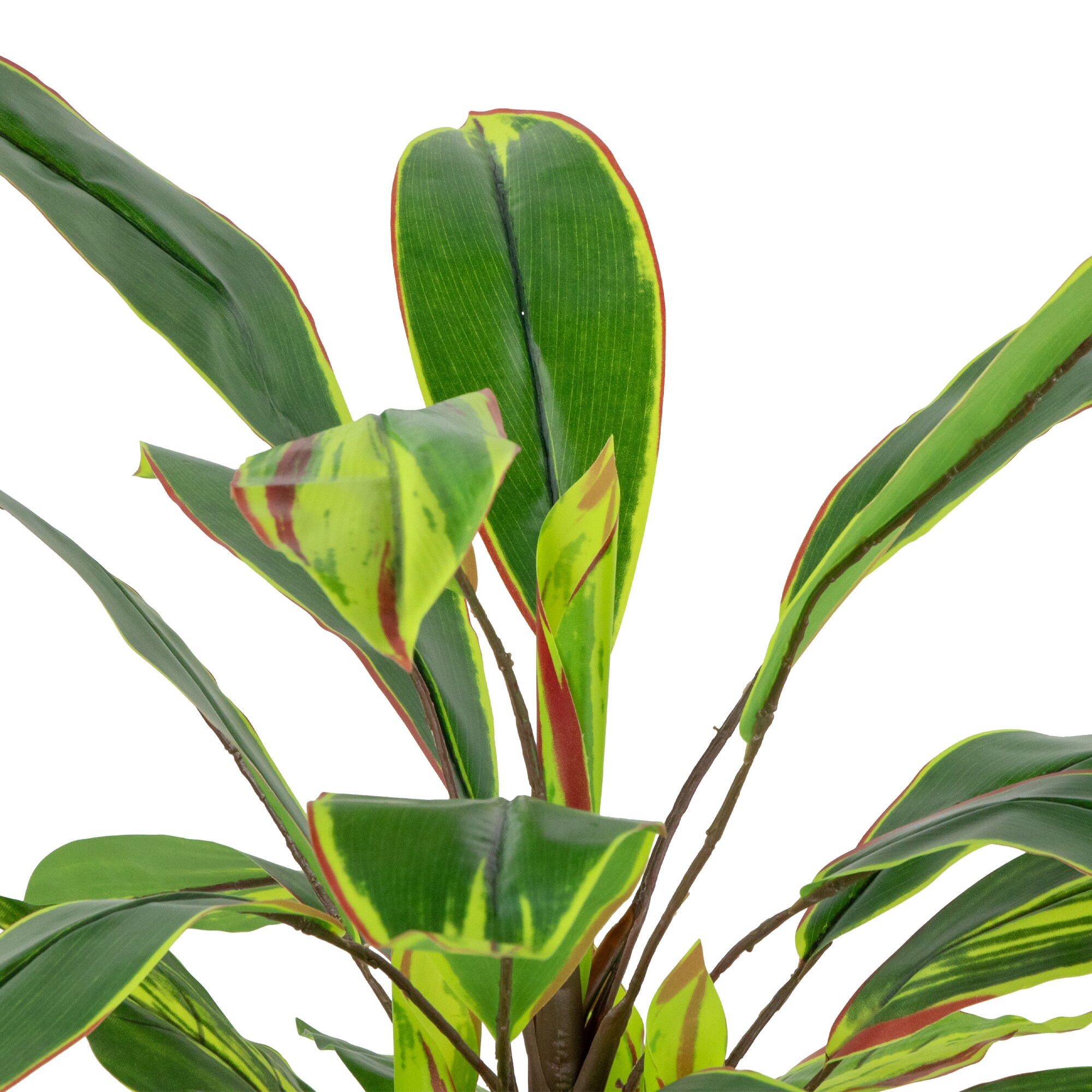 Northlight 32036524 Artificial-Plants-Trees - View #5