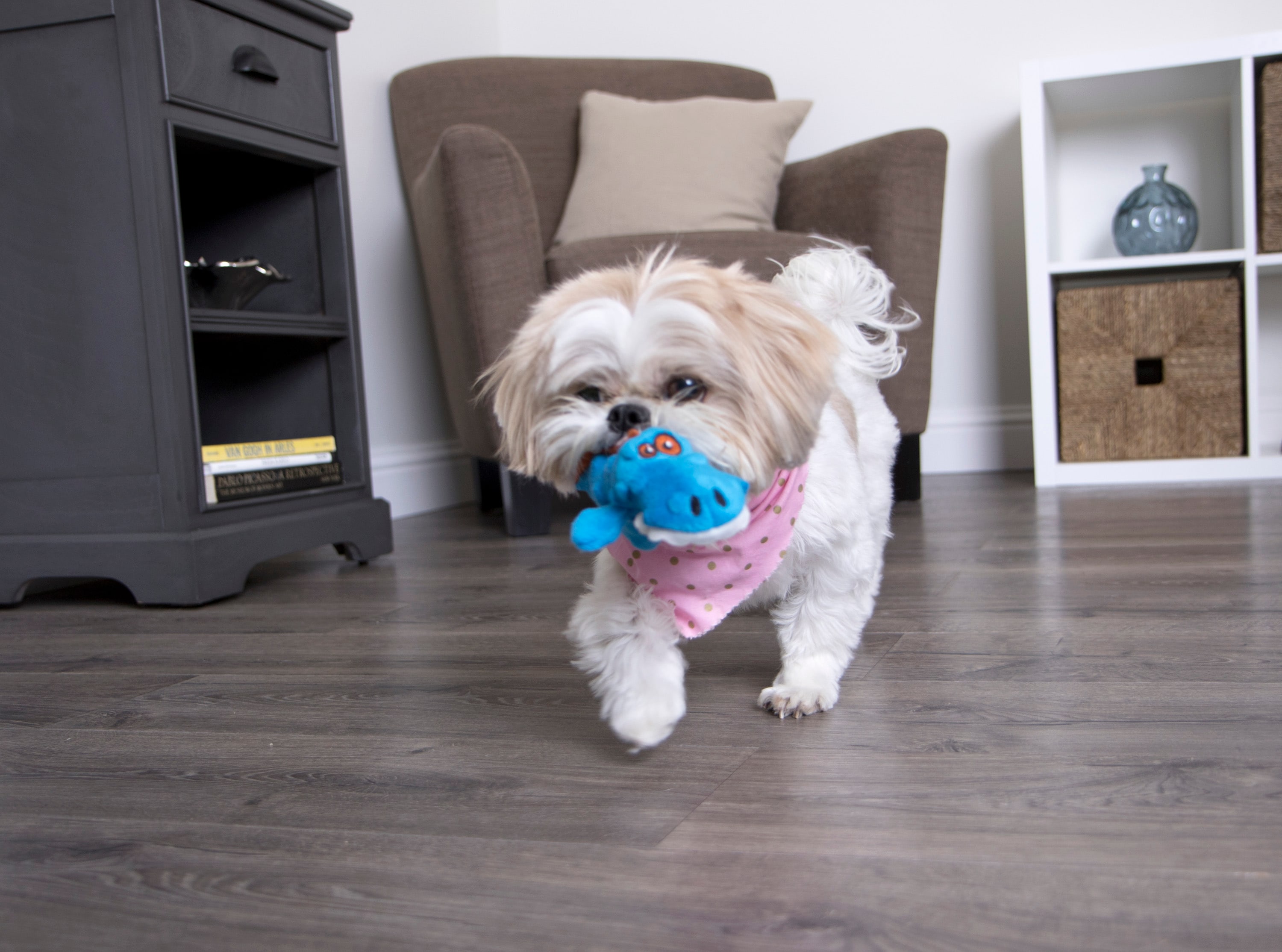 goDog 70947-48987-024 Dog-Toys - View #3