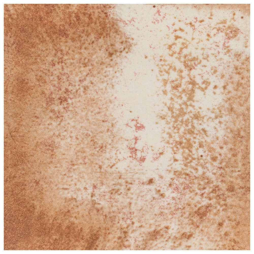 Affinity Tile S1FRC8TR Sample- Collection name Manufacturer Color/Finish 8-in x 8-in Glossy Ceramic Floor and Wall Tile