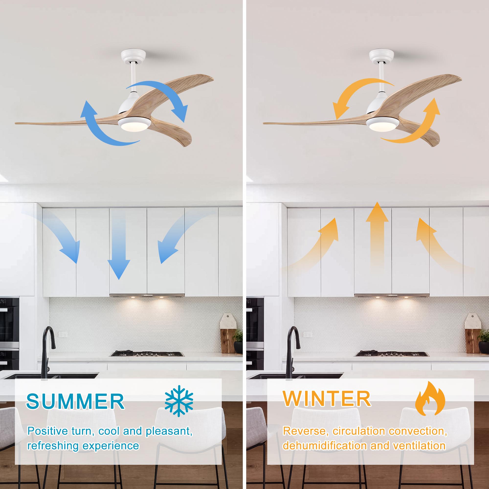 Bayfeve BFHM-76976-CF Ceiling-Fans - View #8