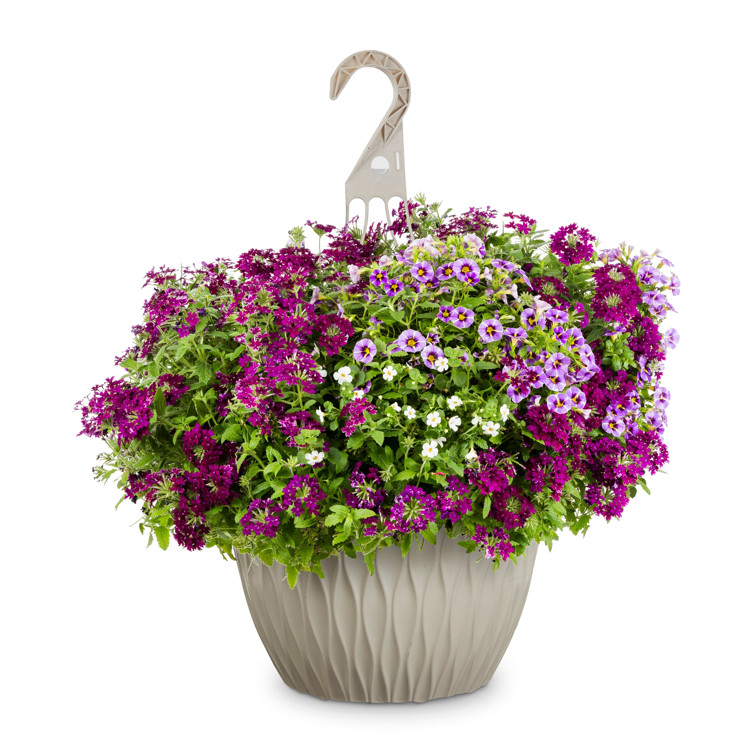 Lowe's Multicolor Evening Breeze in 3.5-Gallon Hanging Basket in the ...