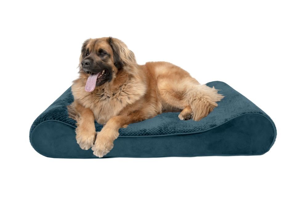 Spruce 2024 dog bed