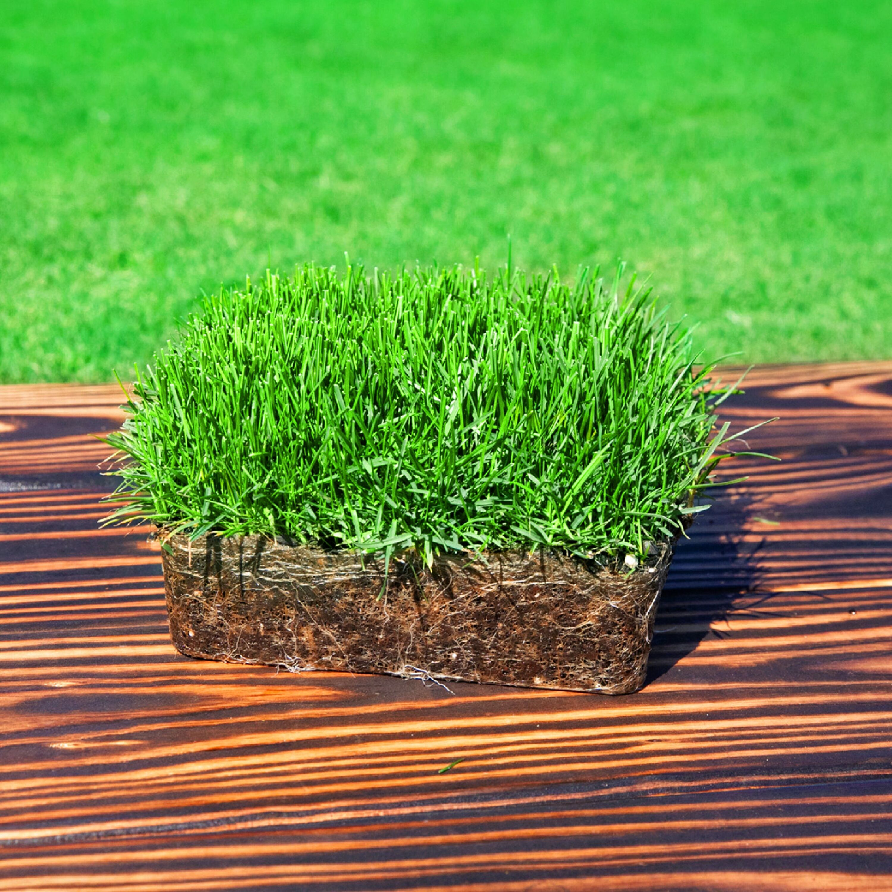 Sod Pods T2BLUE4 sod - View #4