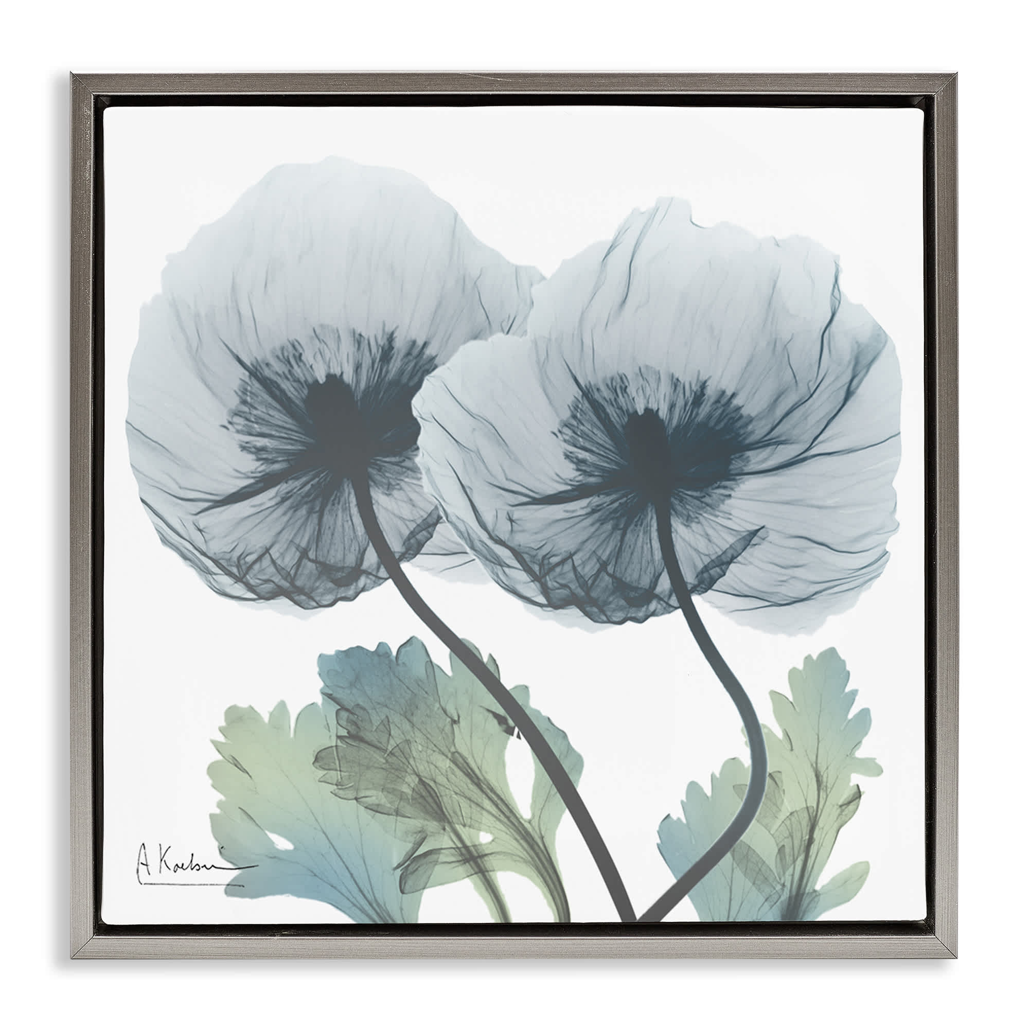 Stupell Industries BS-016-FFL-17X17 Double Modern Flower Blossoms Gray Framed Floater Canvas Wall Art By Albert Koetsier 18 x 18