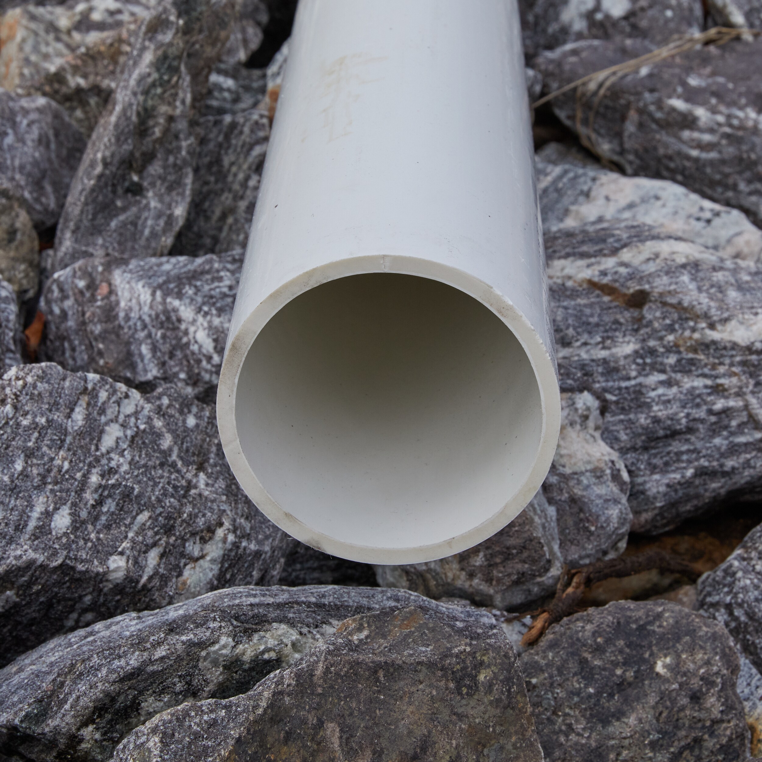 Charlotte Pipe 1/2-in x 10-ft 315 Psi SDR 13.5 PVC Pipe