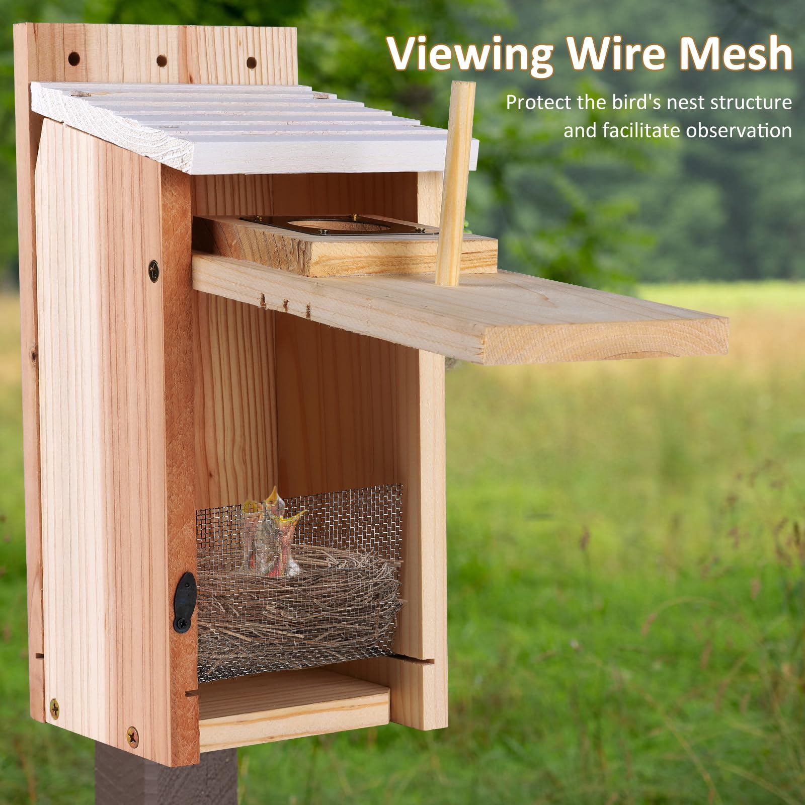 Aoibox LAB1208O11 Bird-Houses - View #9