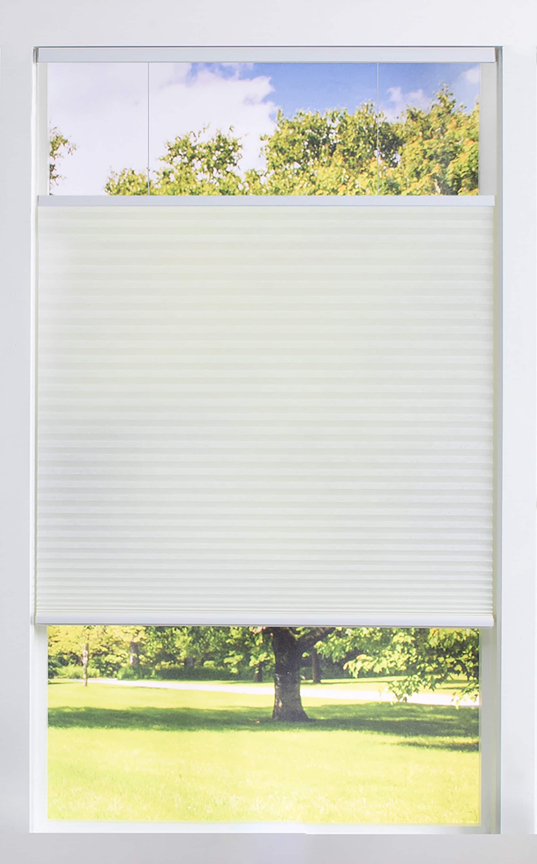 allen roth 18-in x 54-in White Light Filtering Cordless  Top-down/bottom-up Cellular Shade in the Window Shades department at 