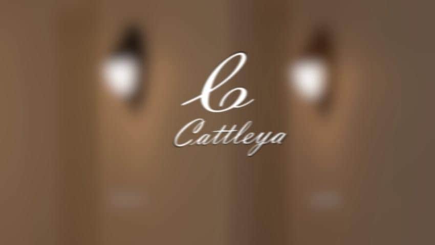A thumbnail for the video