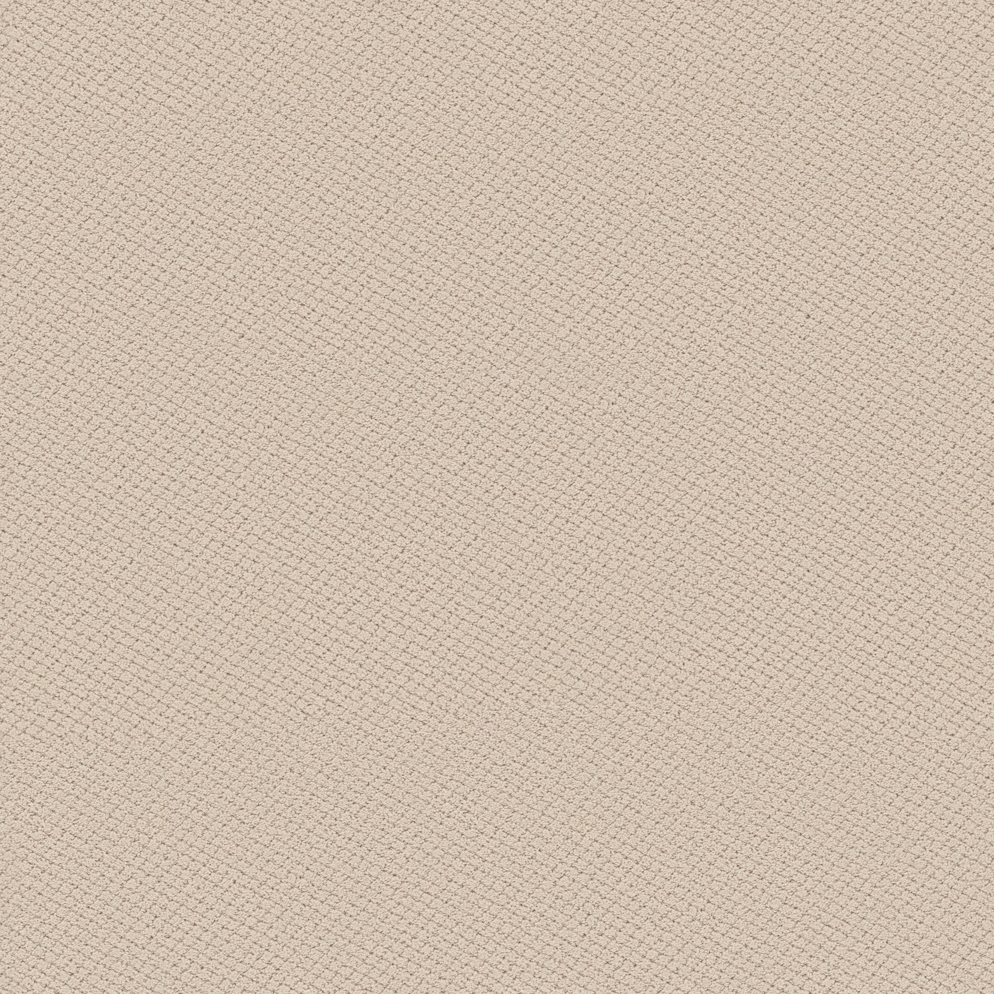 STAINMASTER (Sample) 8-in x 8-in Everlasting Sesame Brown 35-oz sq yard Solution-dyed polyester Pattern Indoor Carpet #7L991-115-SAMP