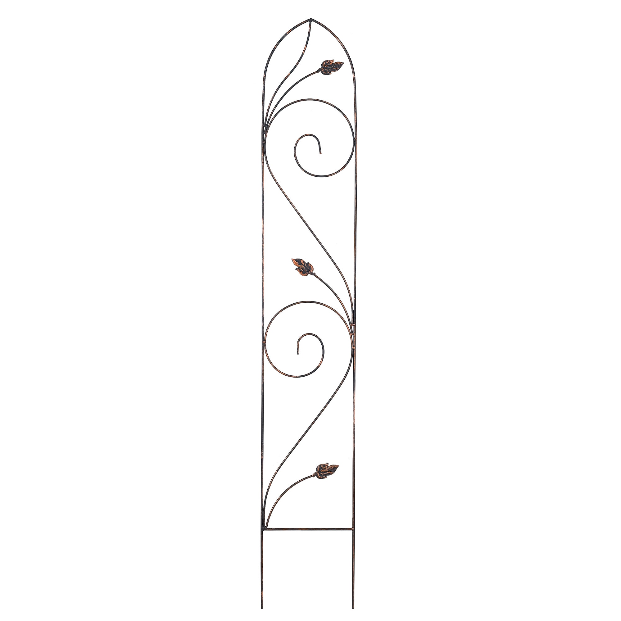 Arcadia Garden Products TR05 Autumn Leaf 10-Inches W x 60-Inches H Black Iron Traditional Garden Trellis For Climbing Plants