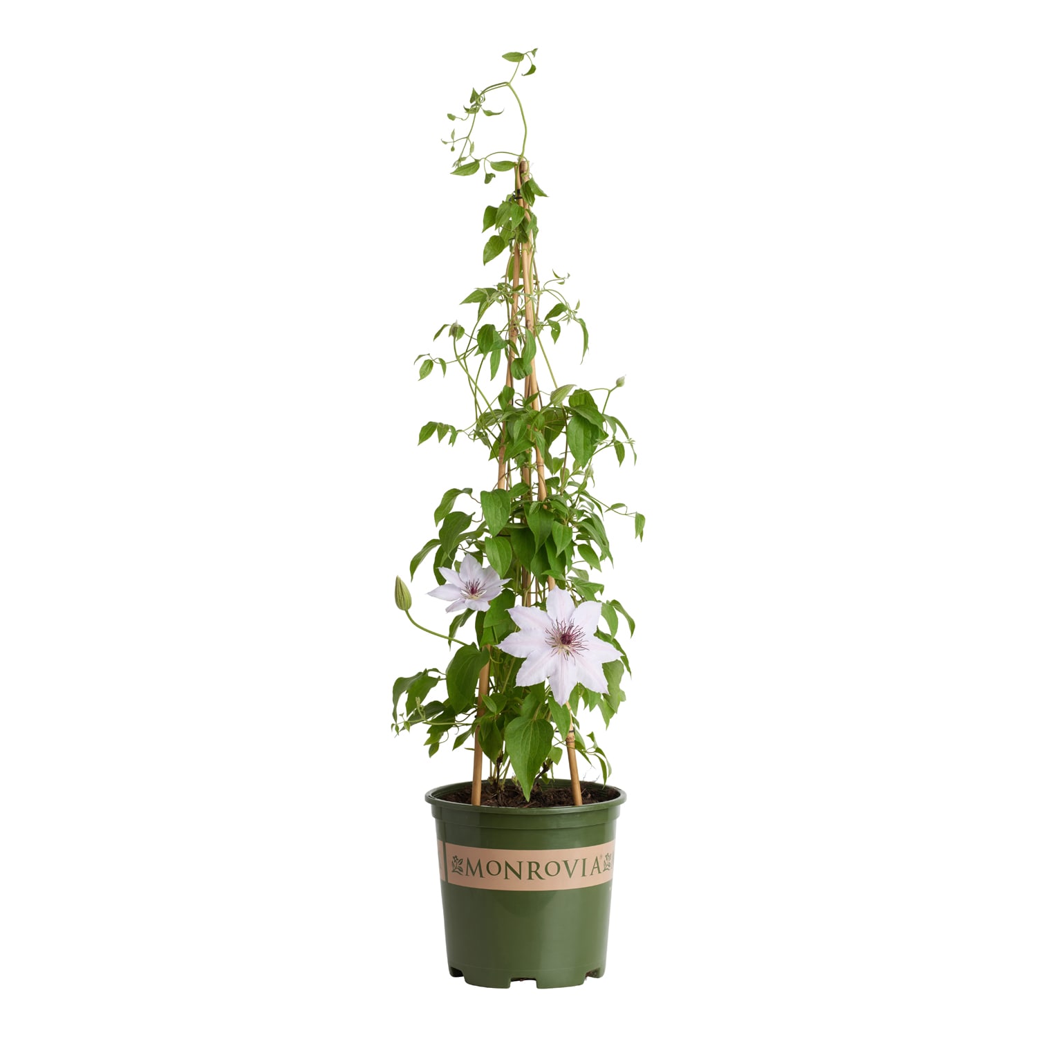 ceramic planter wholesale Glossy Ceramic Planter Pot With Bottom Plate | Multicolor