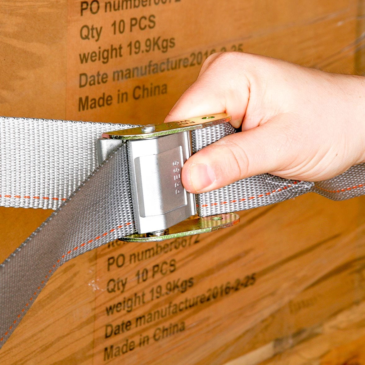 DC Cargo 216CBSSEF Tie-Downs - View #3