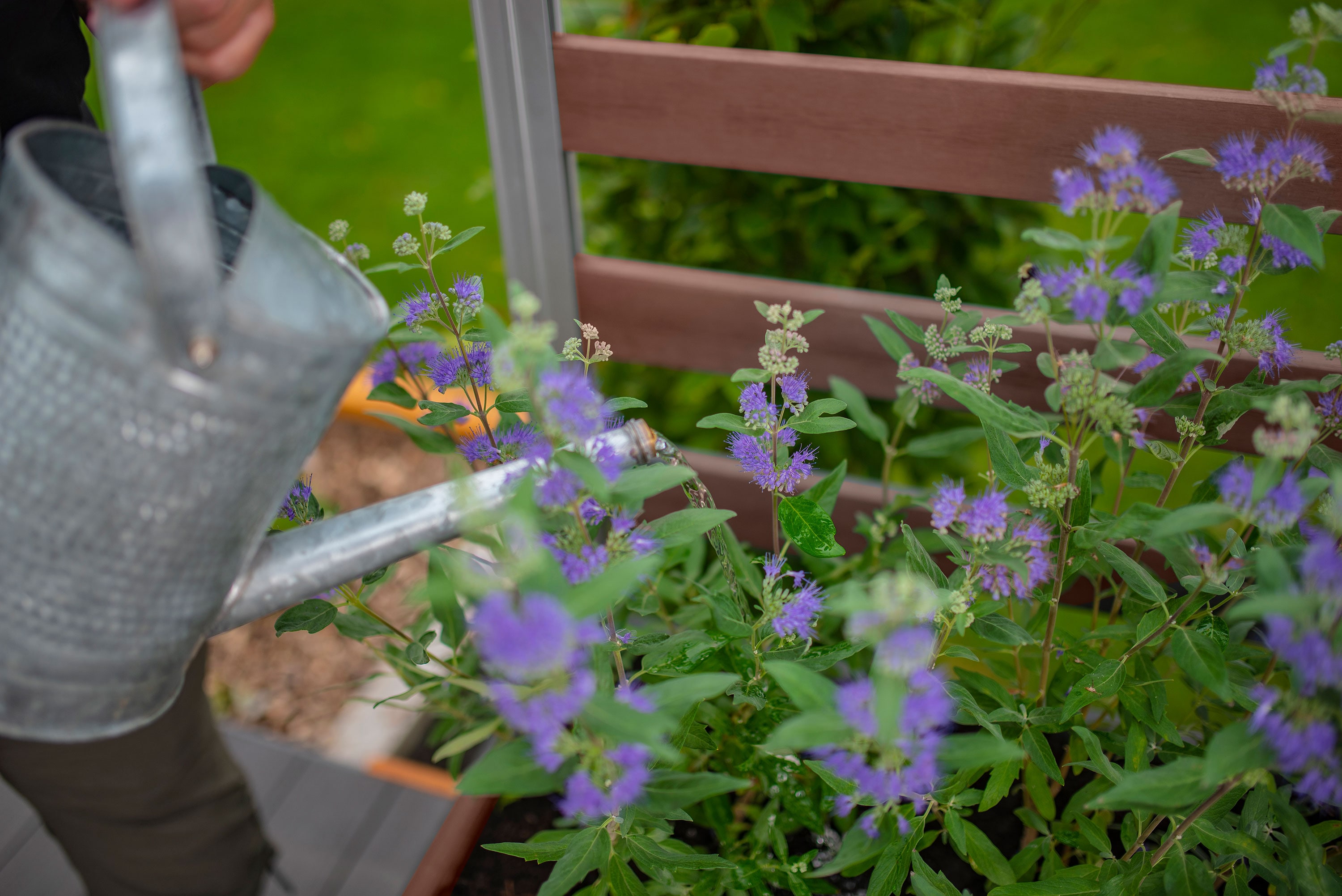 Vita VT17533 Planter-Window-Box - View #4