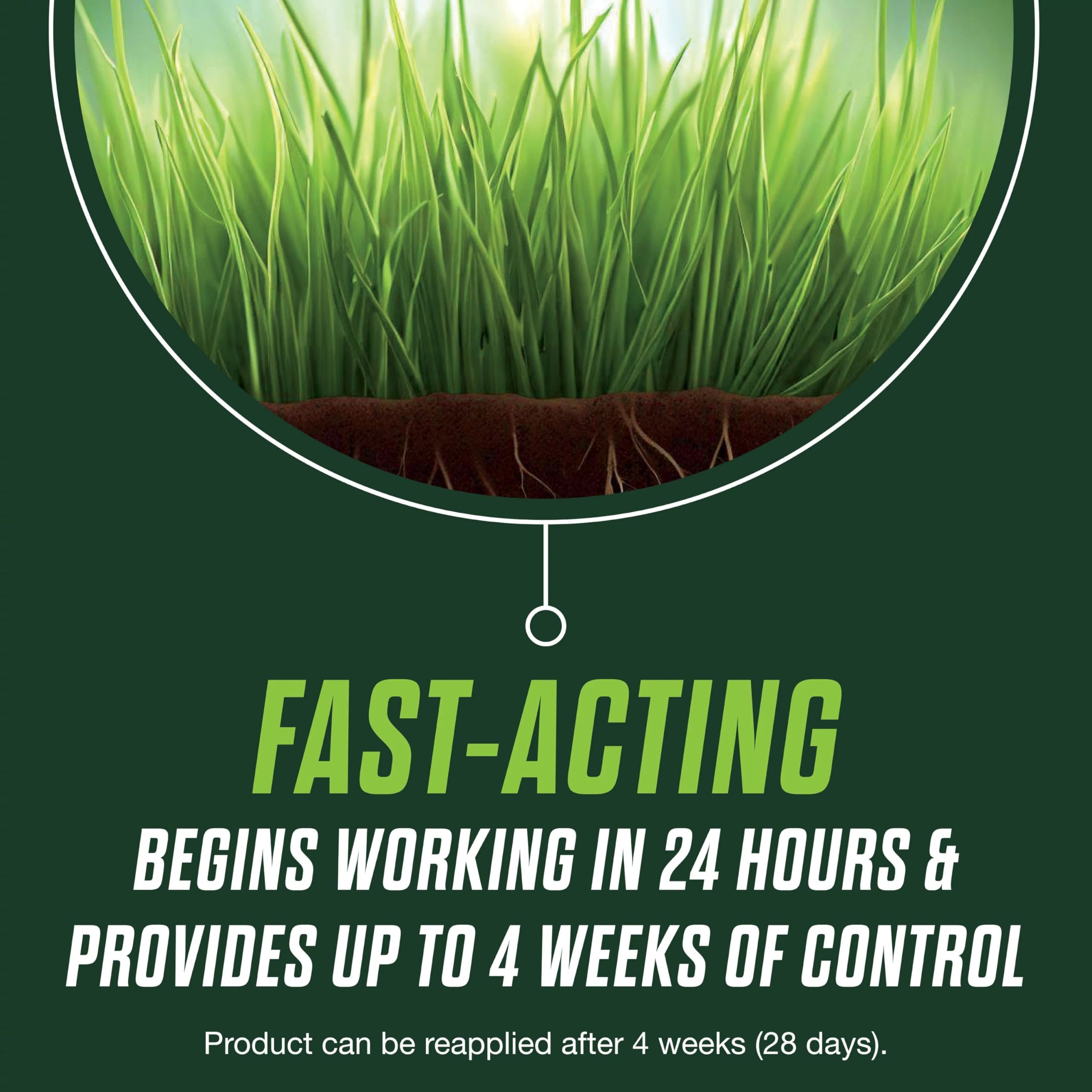 Scotts Turf Builder Healthy Plus Lawn Food - 2-in-1 Fungicide and ...