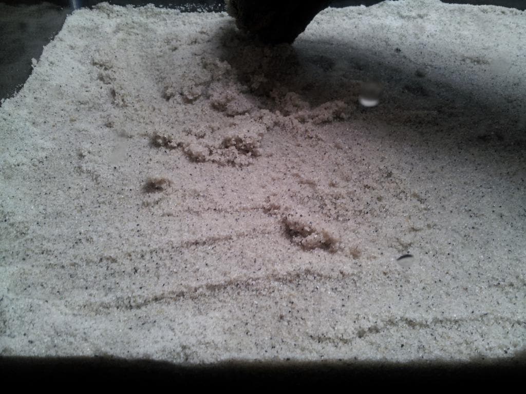 QUIKRETE 196201 Concrete-Aggregate - View #5