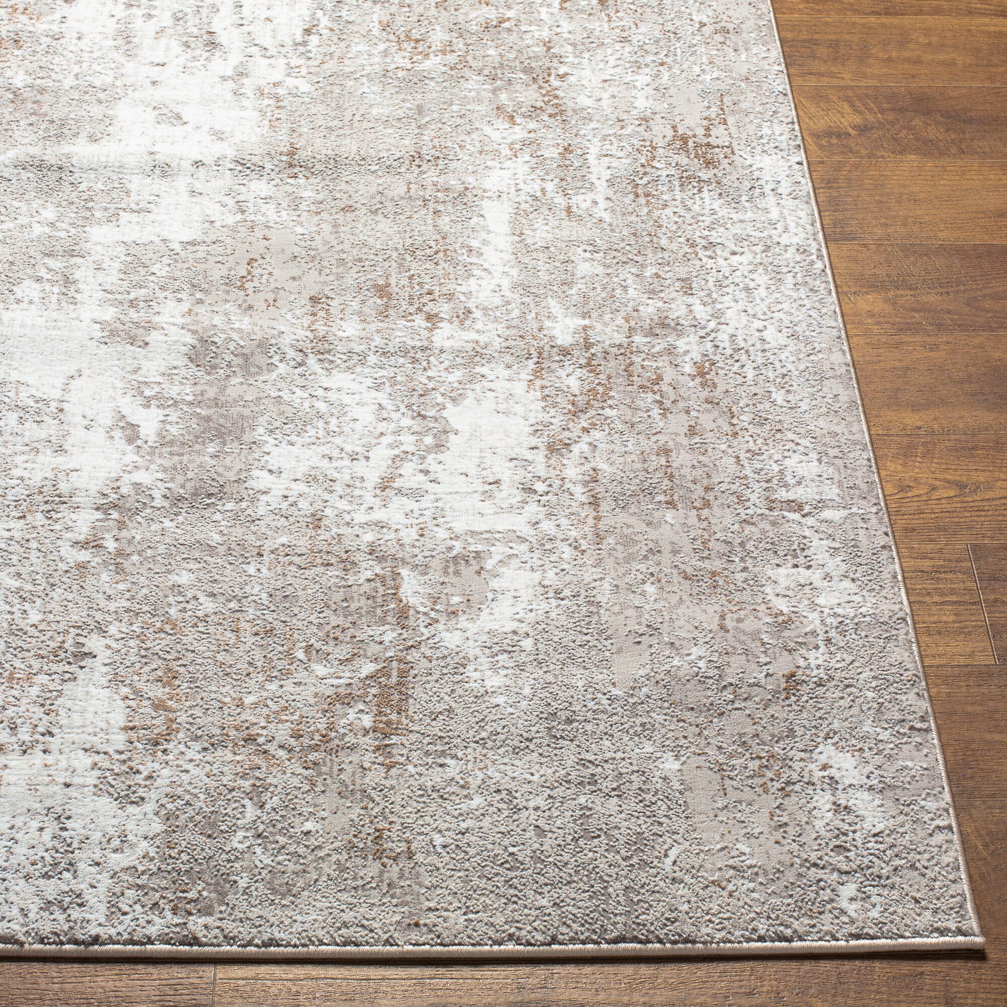 Livabliss ALG2304-71010 rugs - View #4
