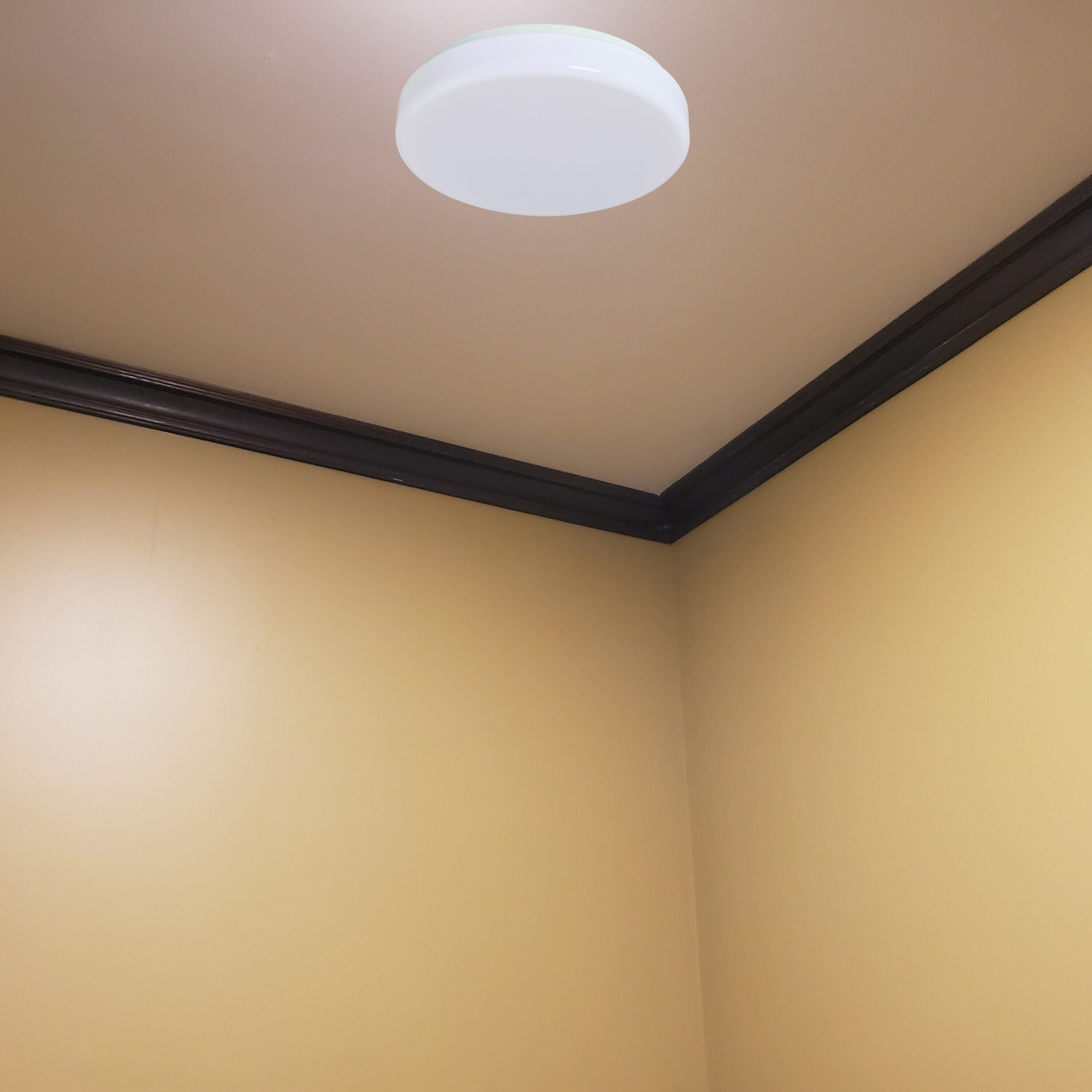 Amax Lighting LED-V001L Led-Retrofit-Downlight - View #4