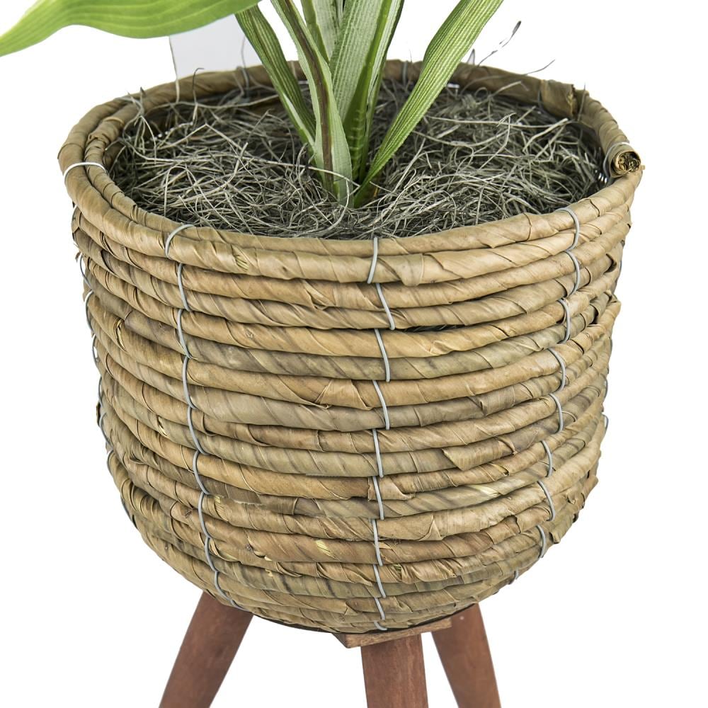 LCG 19G192 Artificial-Plants-Trees - View #5