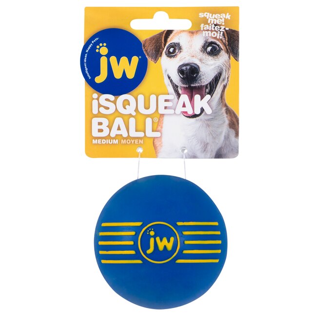 Jw Rubber Interactive Dog Toy Durable